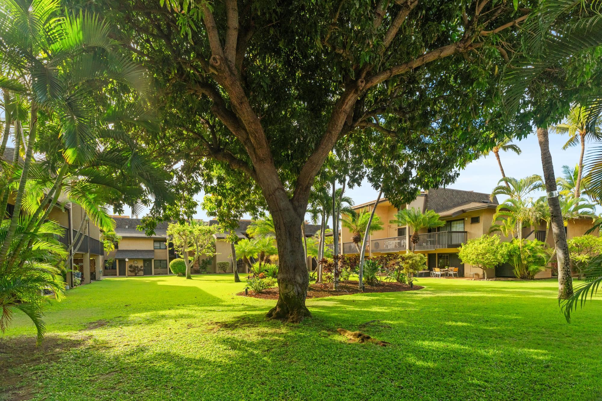 Kihei Garden Estates condo # C-105, Kihei, Hawaii - photo 24 of 34