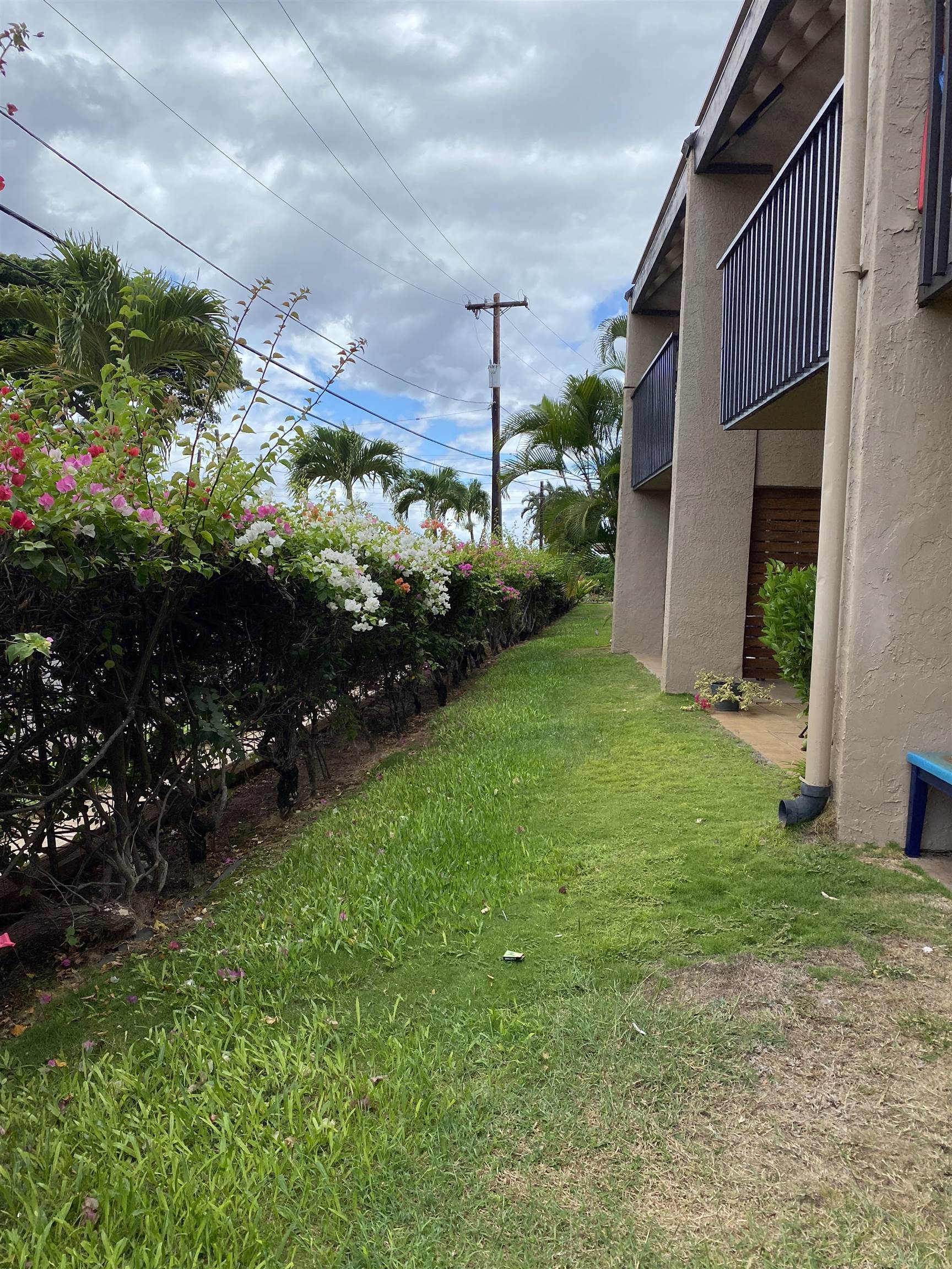 Kihei Garden Estates condo # C-108, Kihei, Hawaii - photo 10 of 10