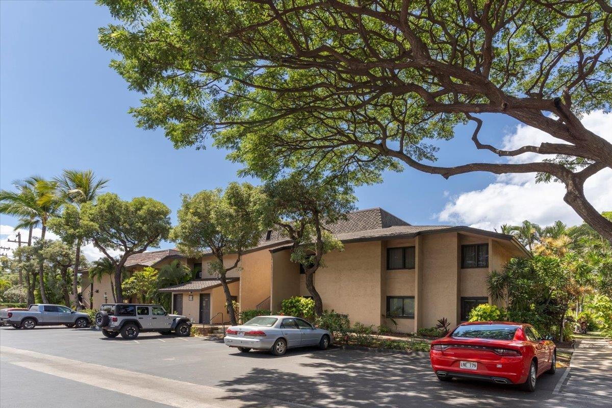 Kihei Garden Estates condo # D-103, Kihei, Hawaii - photo 29 of 40