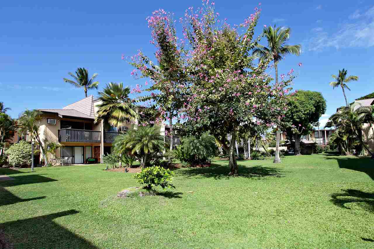 Kihei Garden Estates condo # D104, Kihei, Hawaii - photo 26 of 26