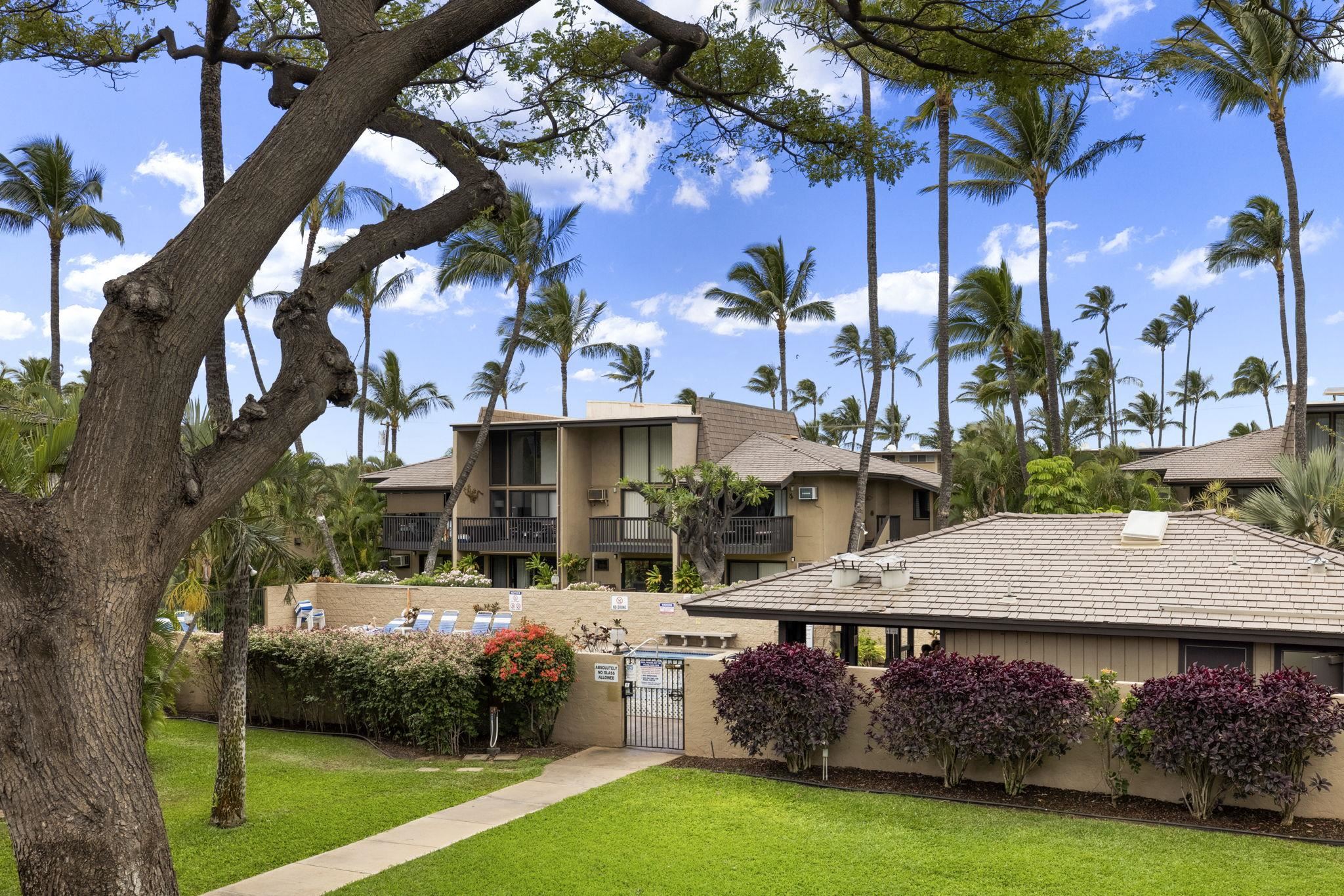 Kihei Garden Estates condo # F-203, Kihei, Hawaii - photo 27 of 49