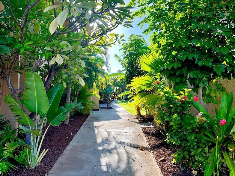 Kihei Garden Estates condo # F-203, Kihei, Hawaii - photo 47 of 49