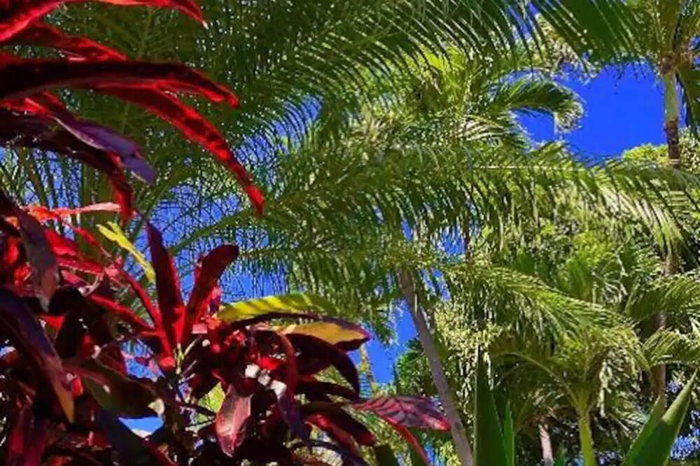 Kihei Garden Estates condo # F203, Kihei, Hawaii - photo 38 of 47