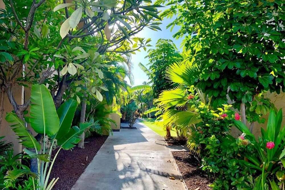 Kihei Garden Estates condo # F203, Kihei, Hawaii - photo 40 of 47