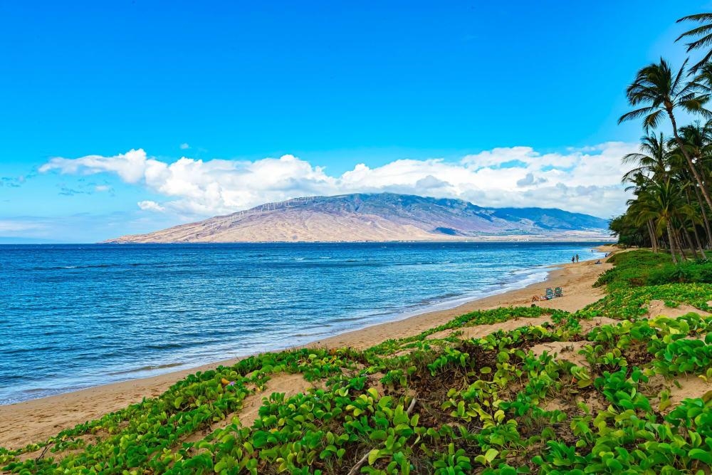 Kihei Garden Estates condo # F203, Kihei, Hawaii - photo 43 of 47