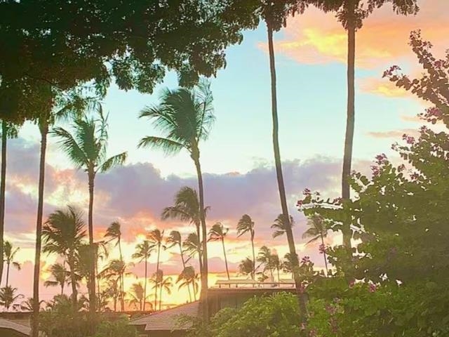 Kihei Garden Estates condo # F203, Kihei, Hawaii - photo 47 of 47