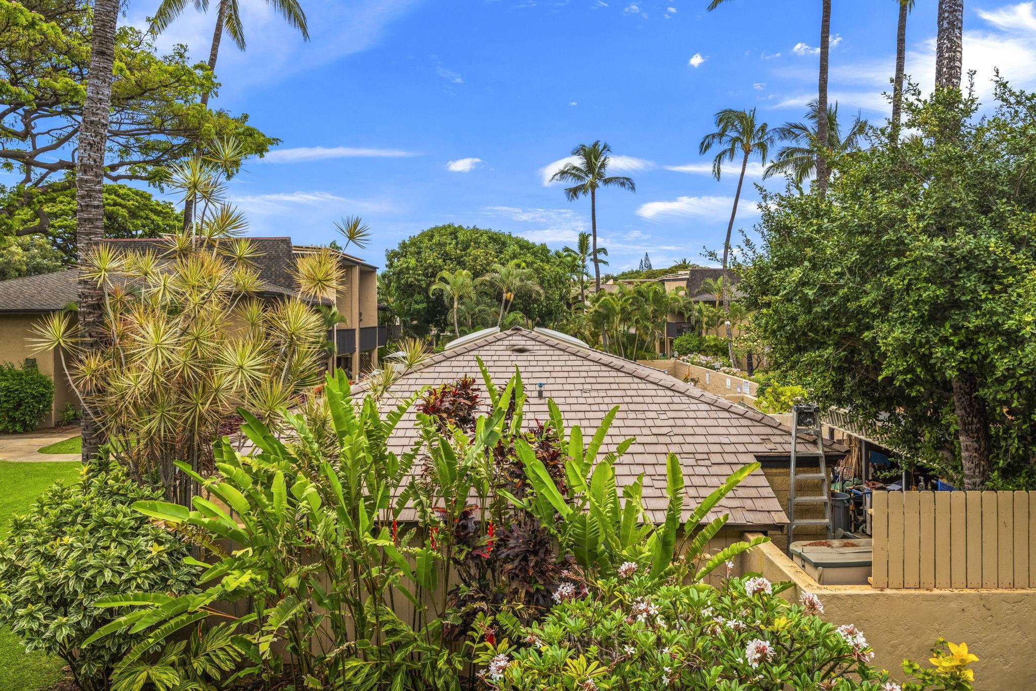 Kihei Garden Estates condo # G204, Kihei, Hawaii - photo 8 of 50