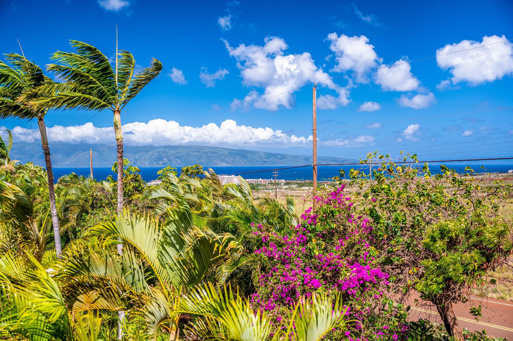 13  N Piki Pl Kaanapali Hillside, Kaanapali home - photo 15 of 48