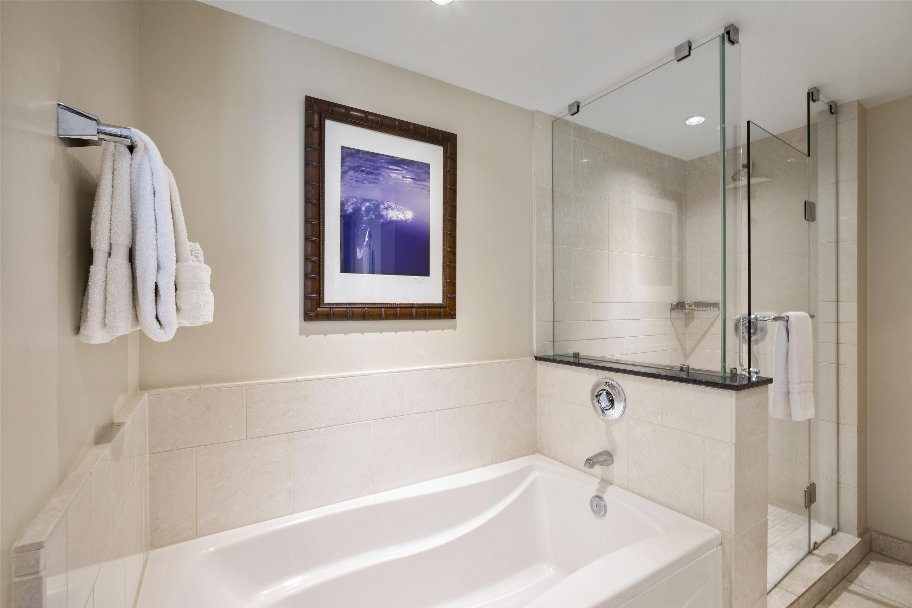 Honua Kai - Hoku Lani condo # SR520, Lahaina, Hawaii - photo 15 of 22