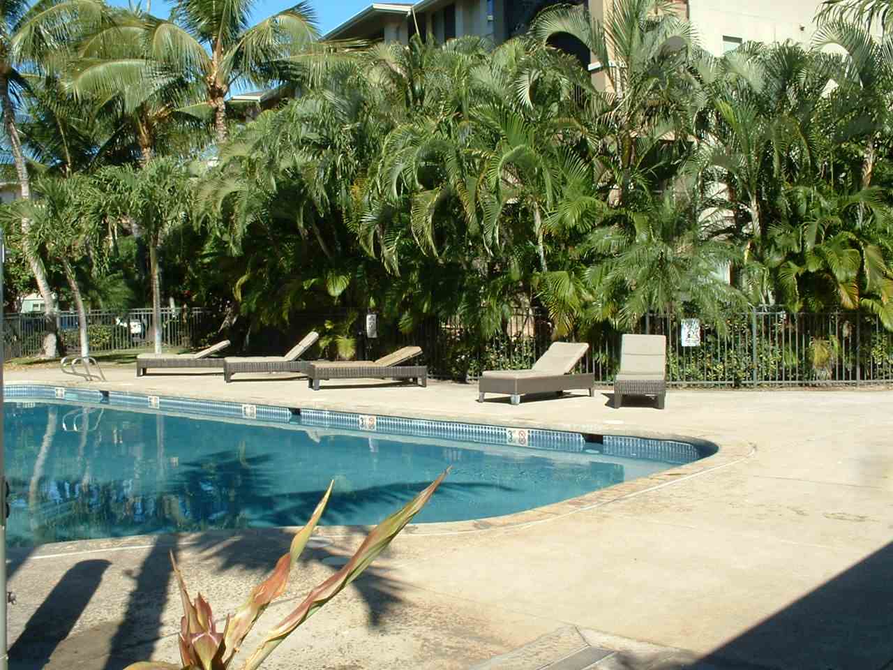 Opukea at Lahaina C402, 1300 Limahana Cir, Lahaina Lahaina