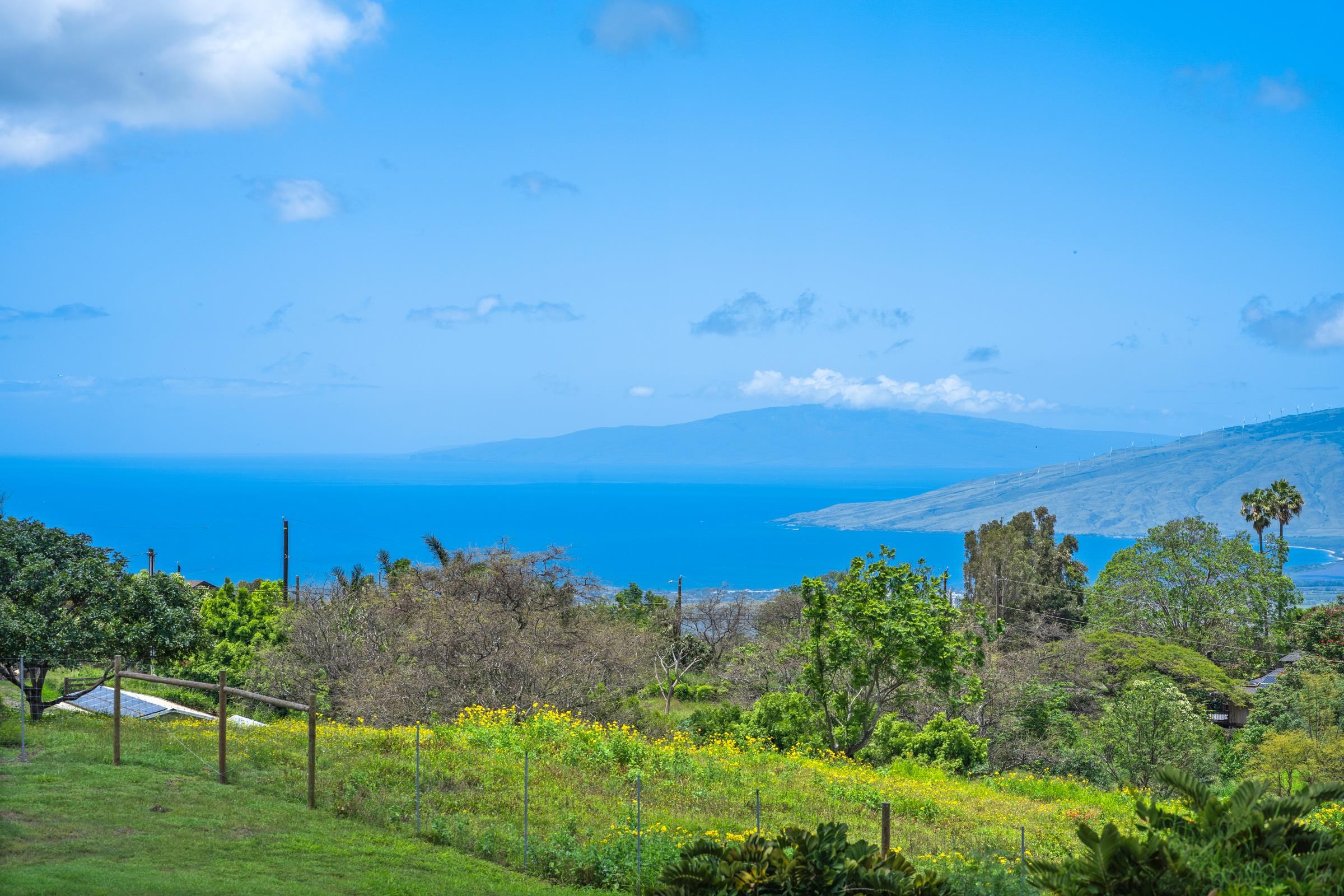 1304  Naalae Rd , Kula/Ulupalakua/Kanaio home - photo 14 of 50