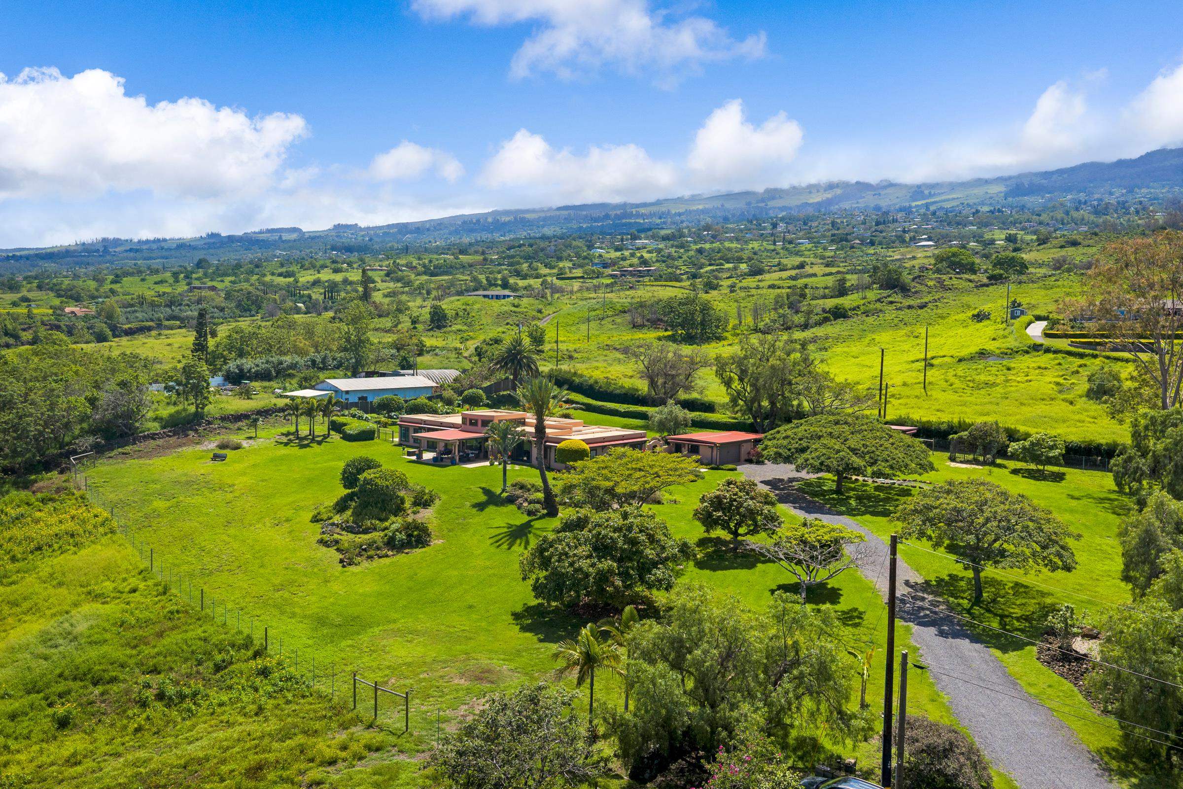 1304  Naalae Rd , Kula/Ulupalakua/Kanaio home - photo 44 of 50