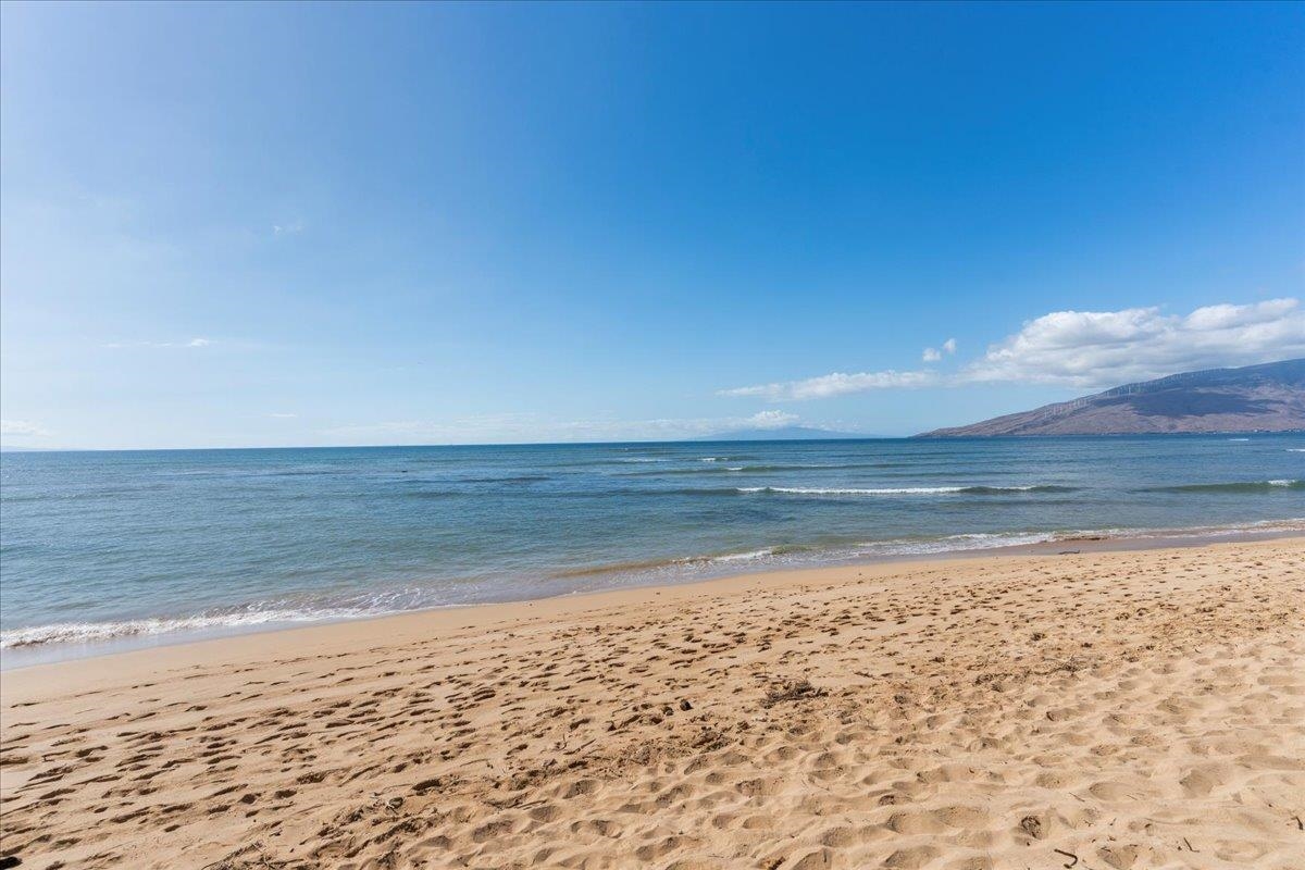 Hale Kai O Kihei I condo # 115, Kihei, Hawaii - photo 38 of 45