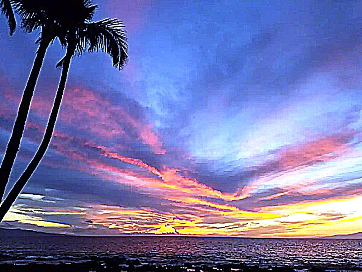 Hale Kai O Kihei II condo # 117, Kihei, Hawaii - photo 18 of 20