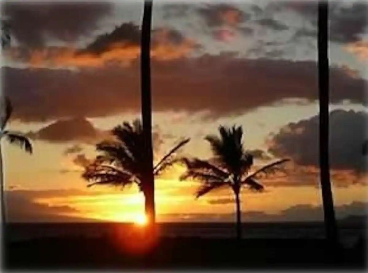 Hale Kai O Kihei II condo # 117, Kihei, Hawaii - photo 19 of 20