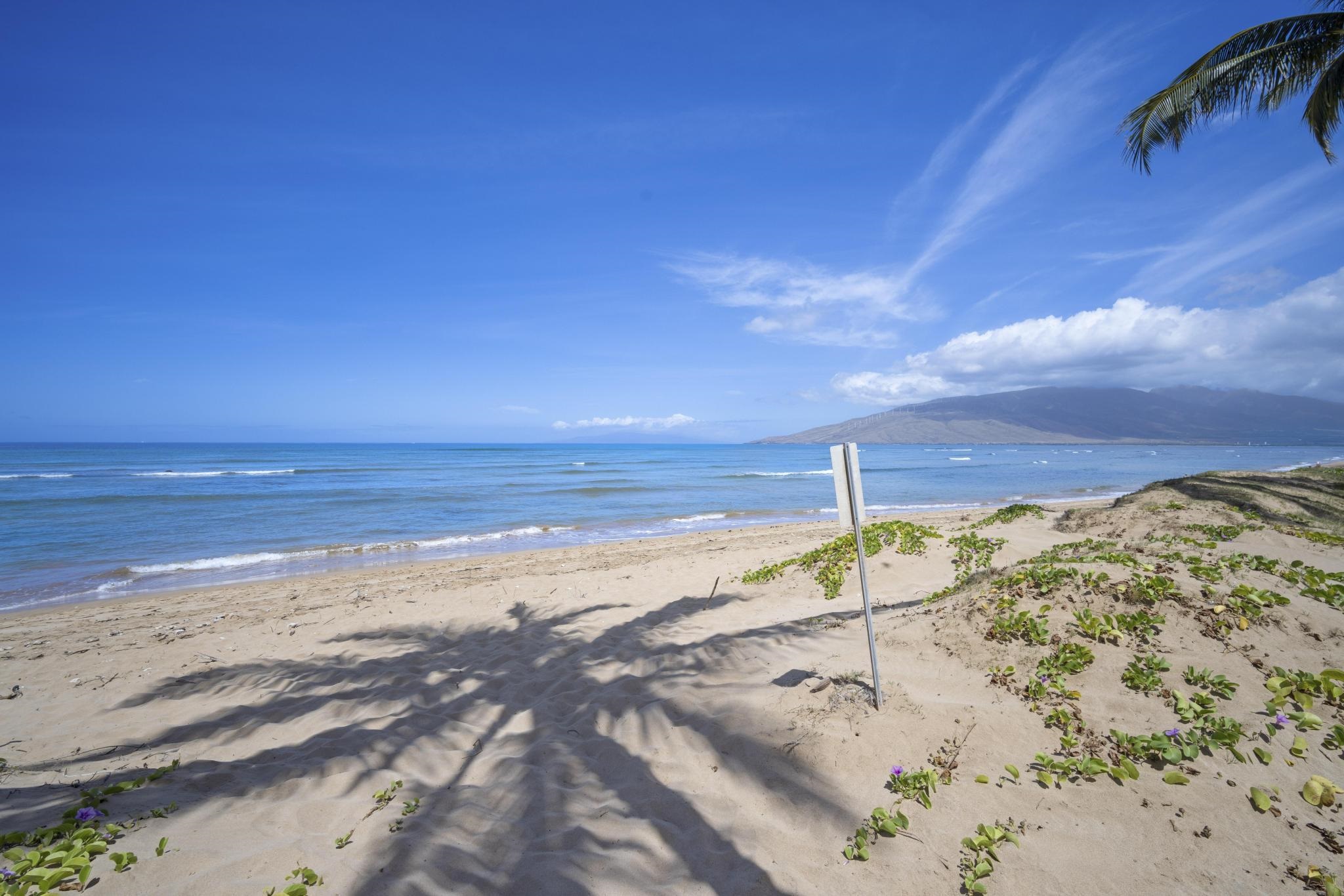 Hale Kai O Kihei I condo # 313, Kihei, Hawaii - photo 24 of 40