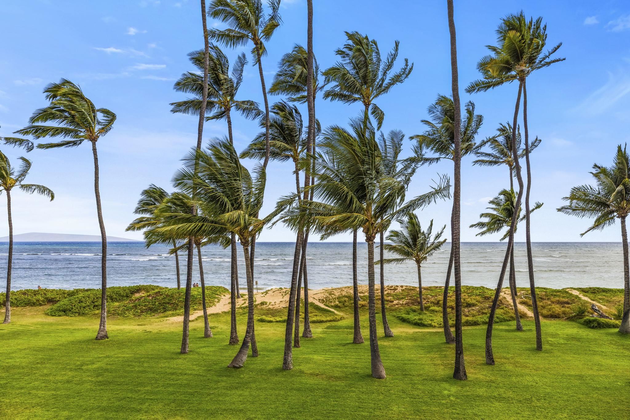 Hale Kai O Kihei I condo # 317, Kihei, Hawaii - photo 17 of 50