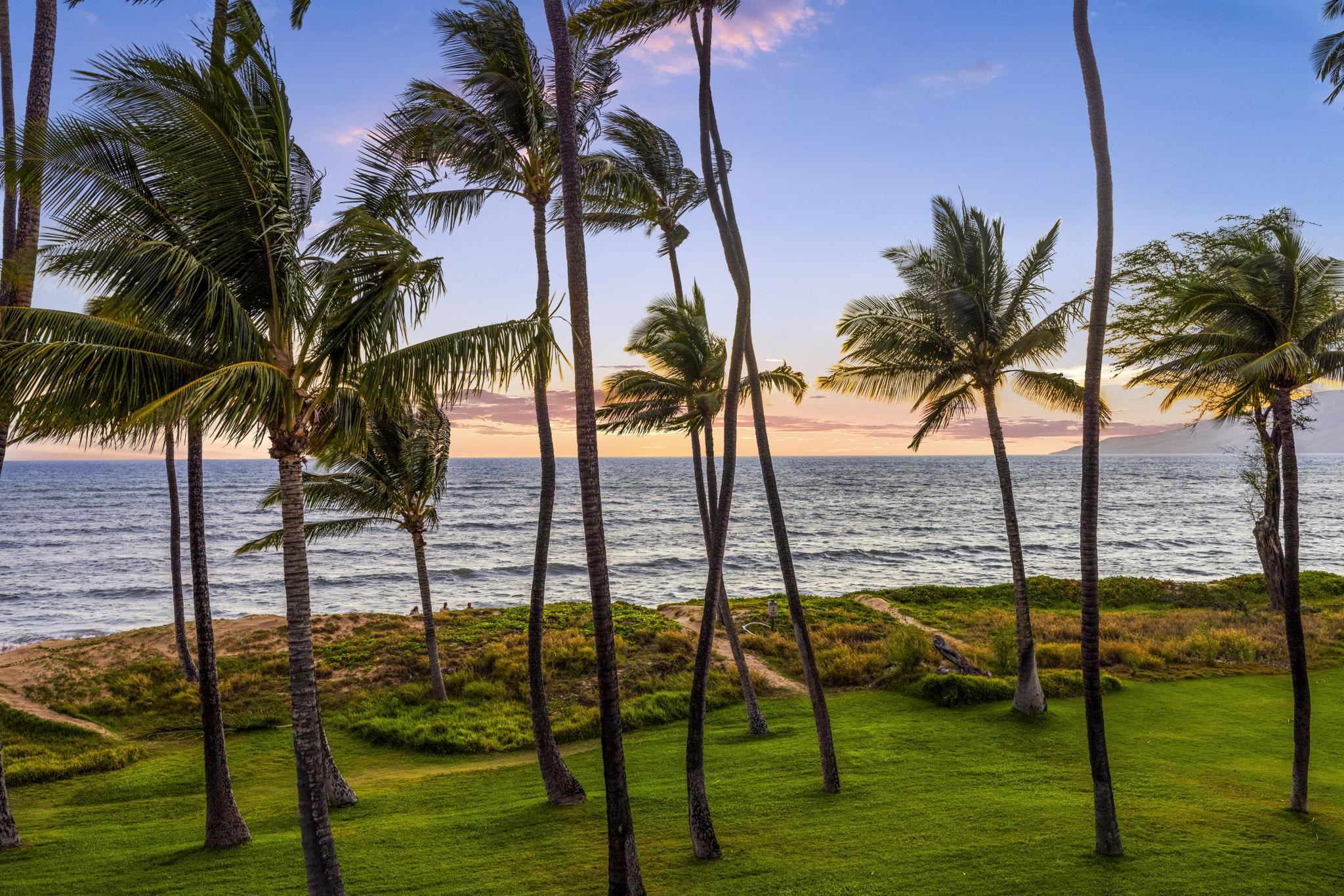 Hale Kai O Kihei I condo # 317, Kihei, Hawaii - photo 18 of 50