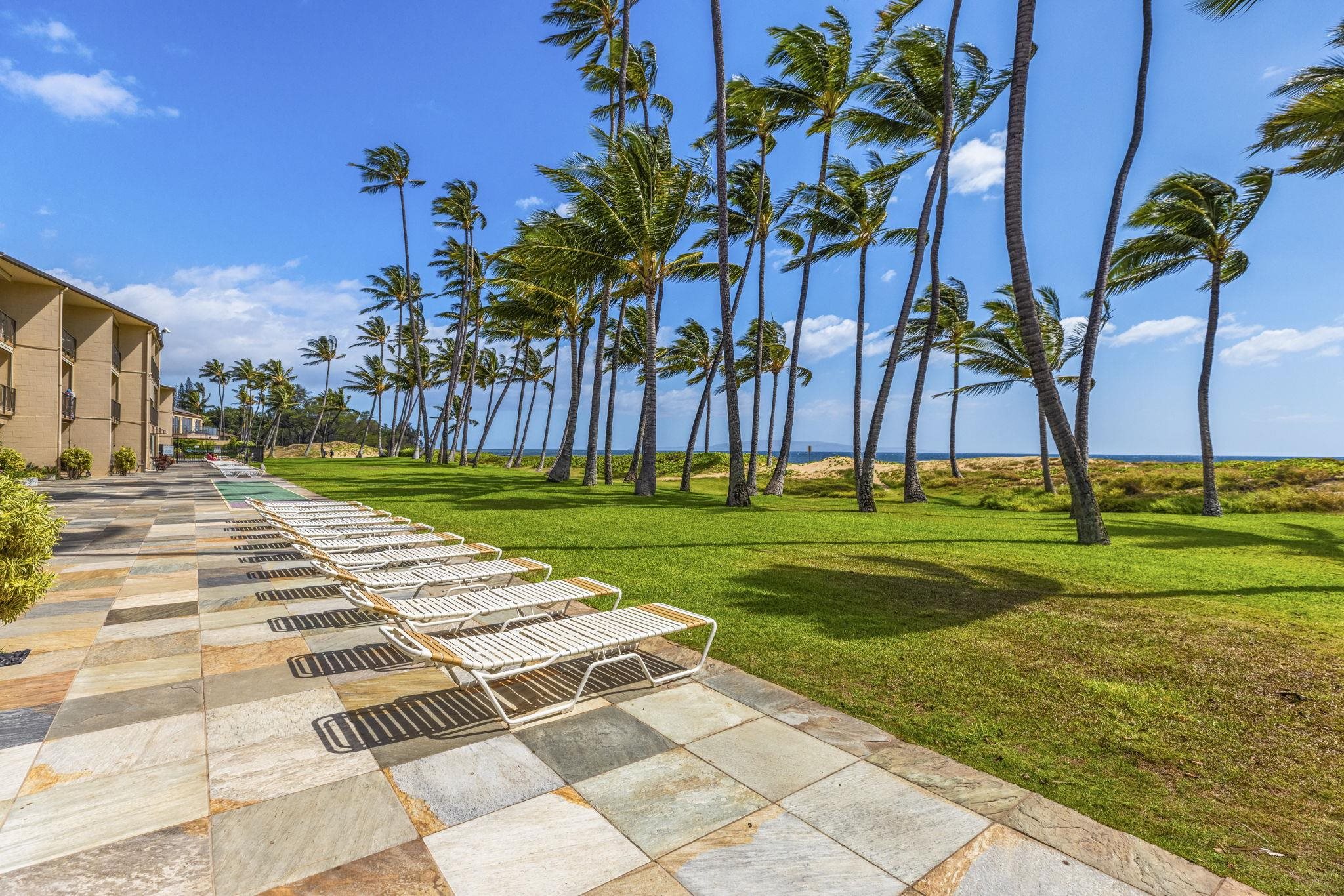 Hale Kai O Kihei I condo # 317, Kihei, Hawaii - photo 35 of 50