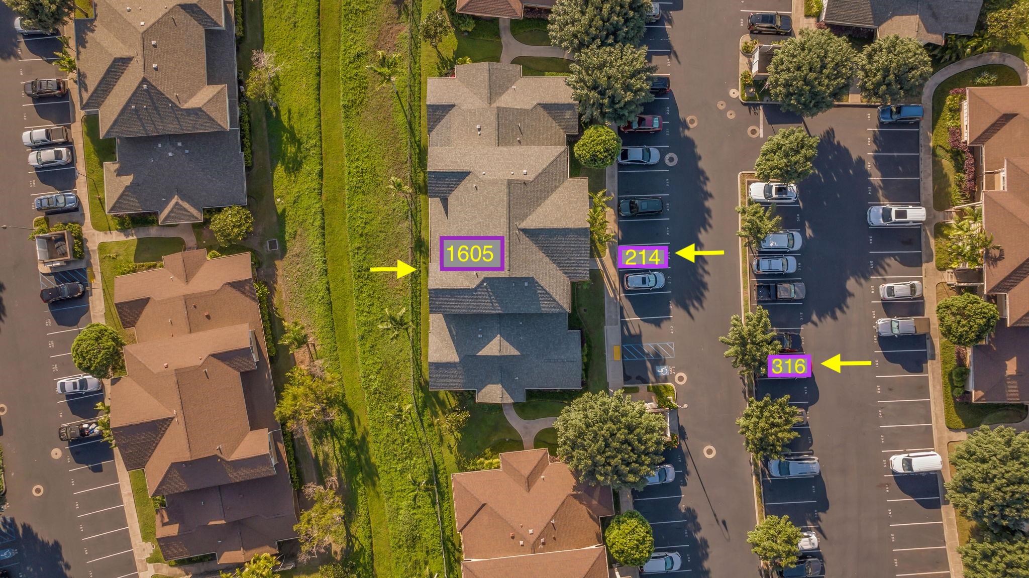 Hoolea Terrace at Kehalani condo # 1605, Wailuku, Hawaii - photo 7 of 30