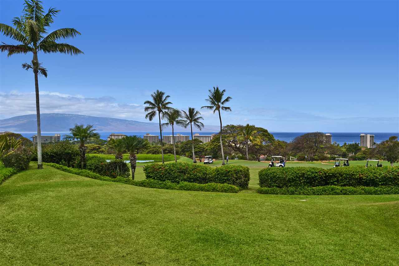 Vintage at Kaanapali condo # 32, Lahaina, Hawaii - photo 29 of 30