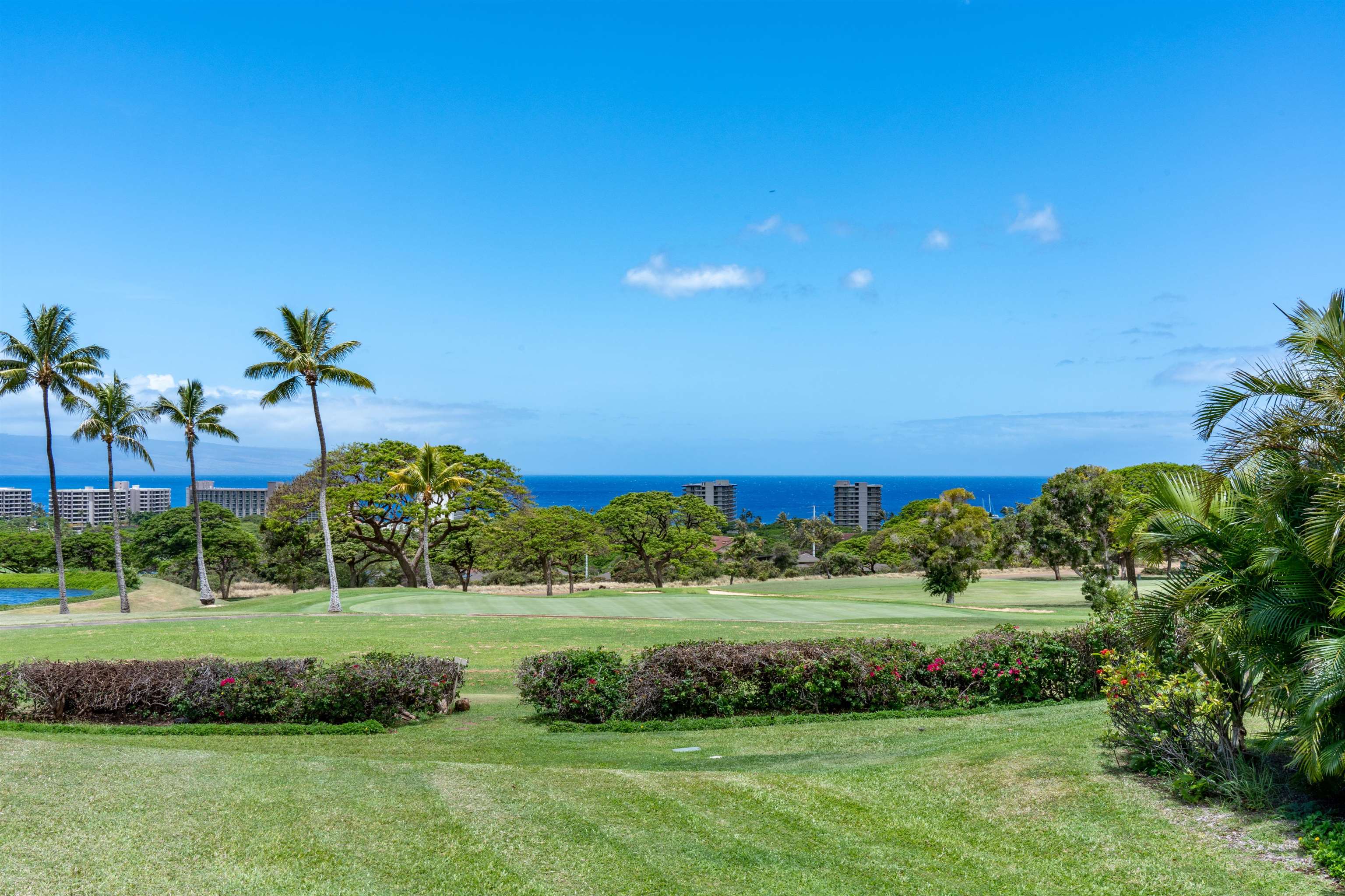 Vintage at Kaanapali condo # 32, Lahaina, Hawaii - photo 18 of 50