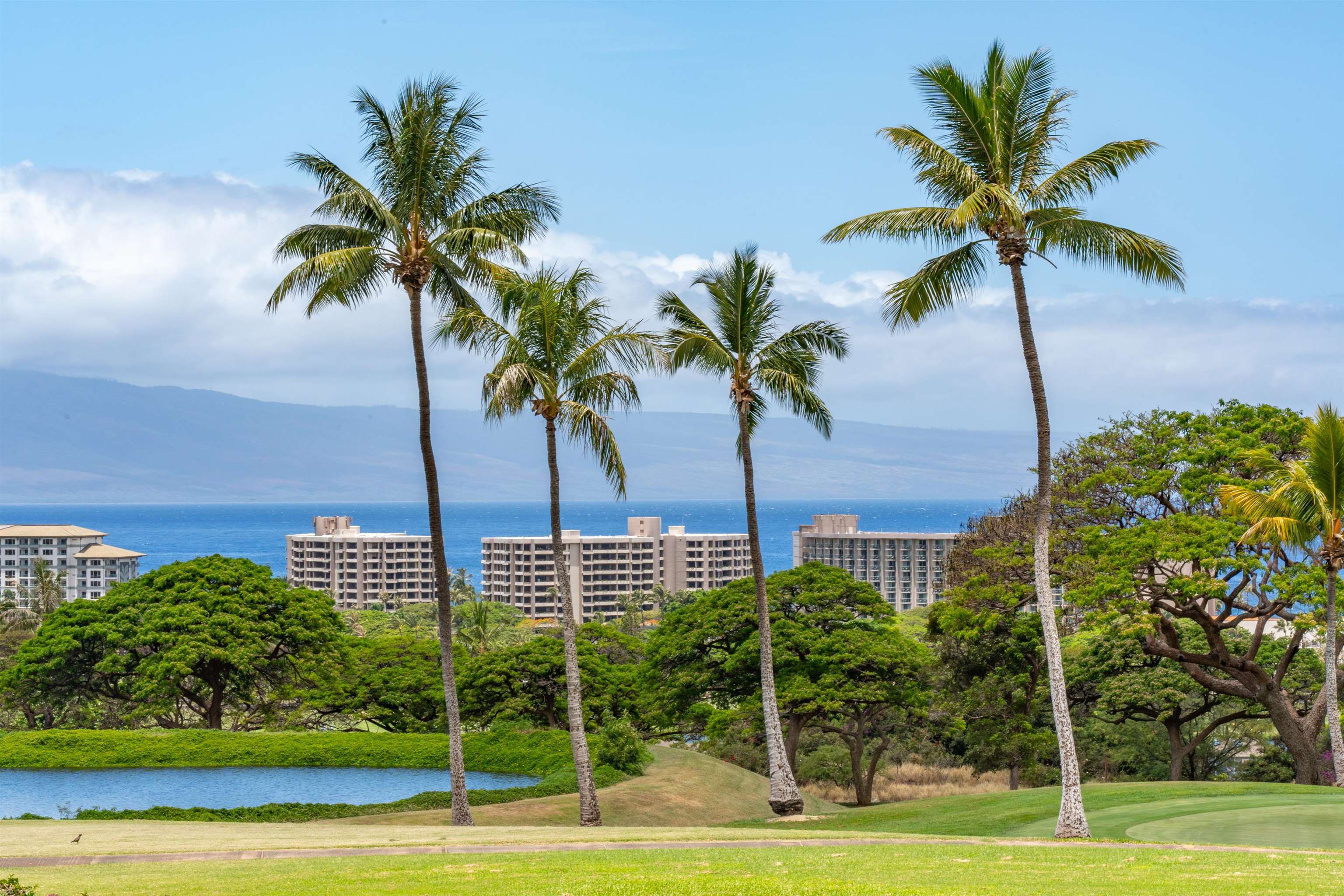 Vintage at Kaanapali condo # 32, Lahaina, Hawaii - photo 22 of 50