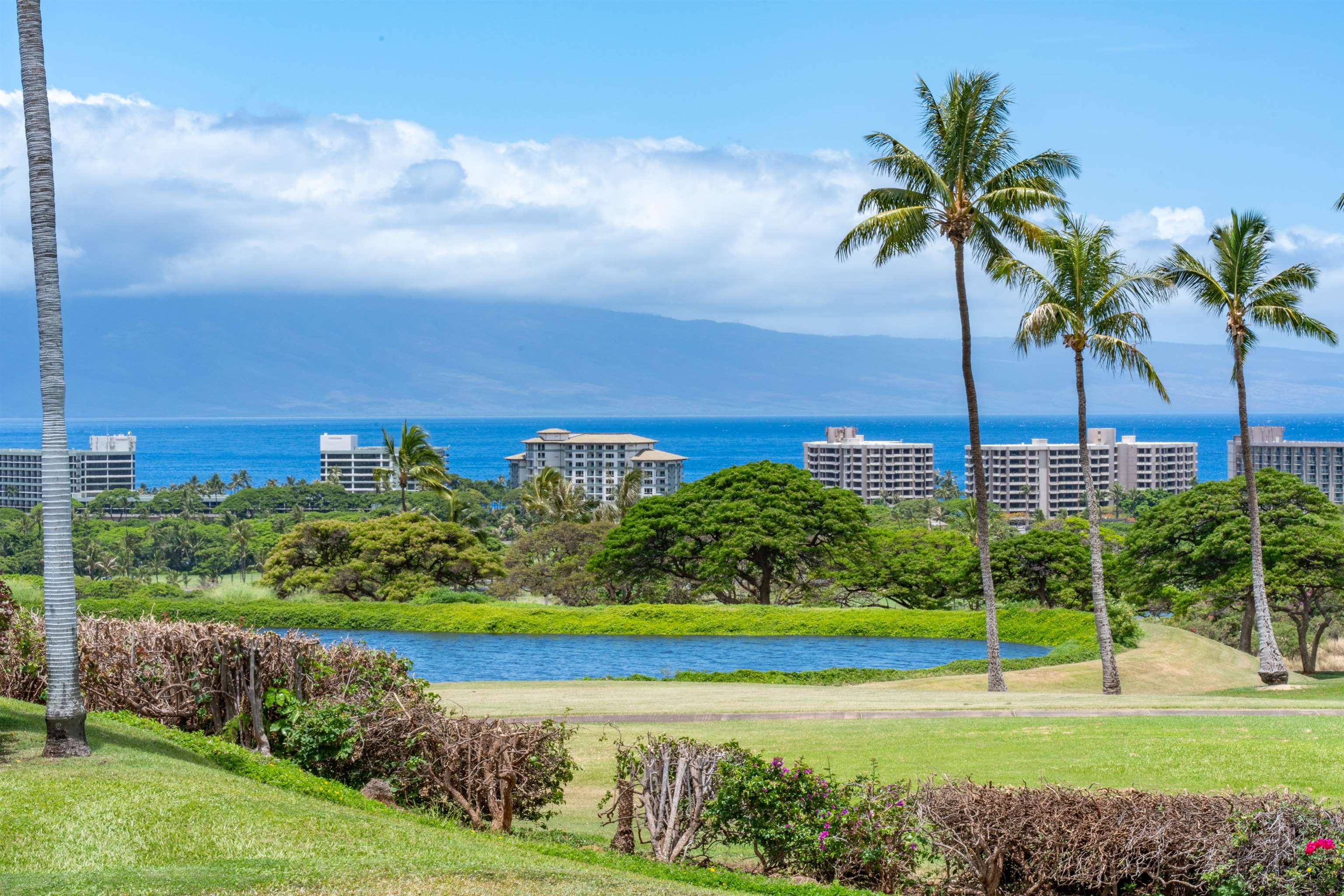 Vintage at Kaanapali condo # 32, Lahaina, Hawaii - photo 46 of 50