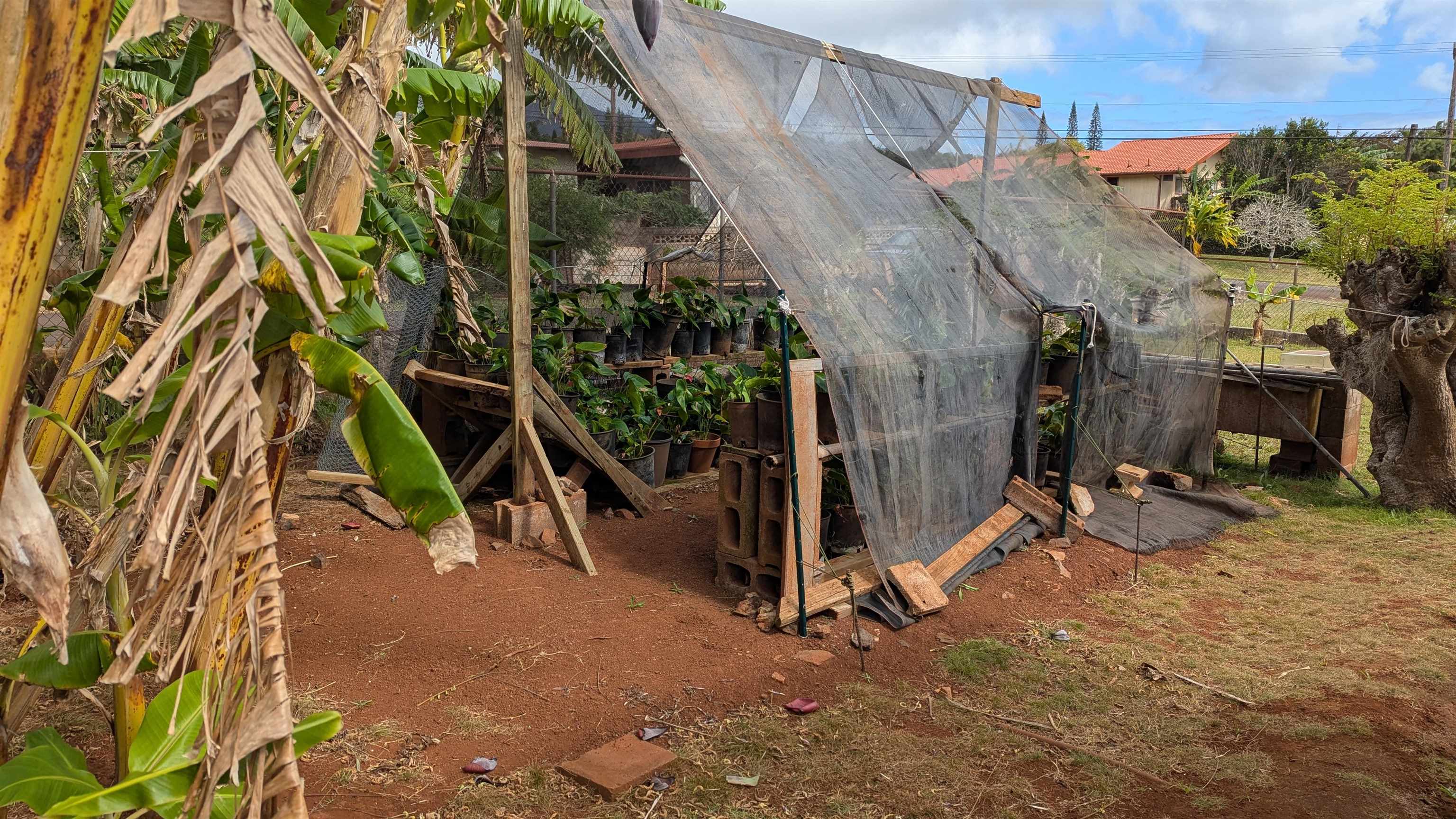 1320  Jasmine Dr , Lanai home - photo 19 of 23