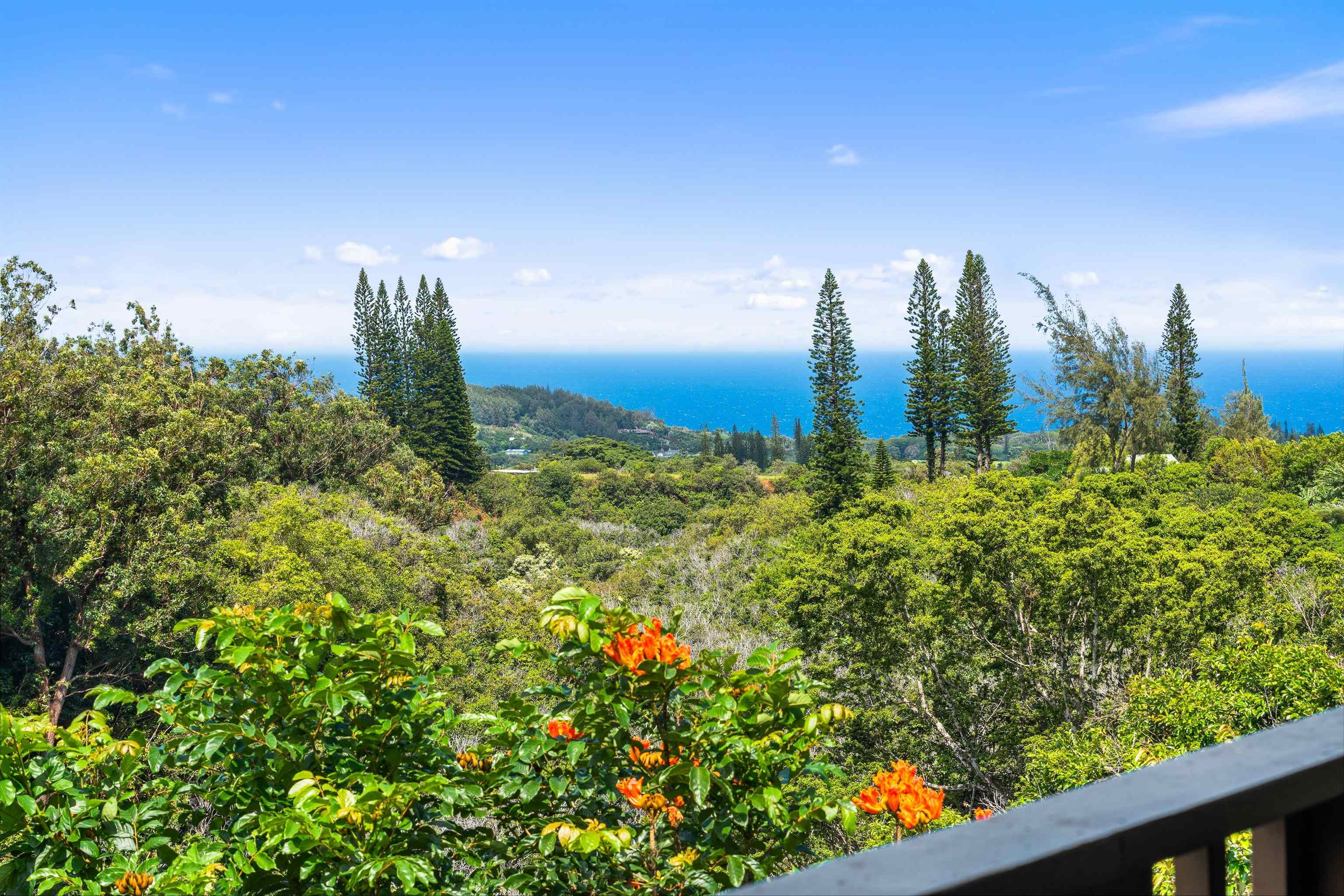 1330  Kauhikoa Rd Kuiaha-pawela Homestead, Haiku home - photo 2 of 47