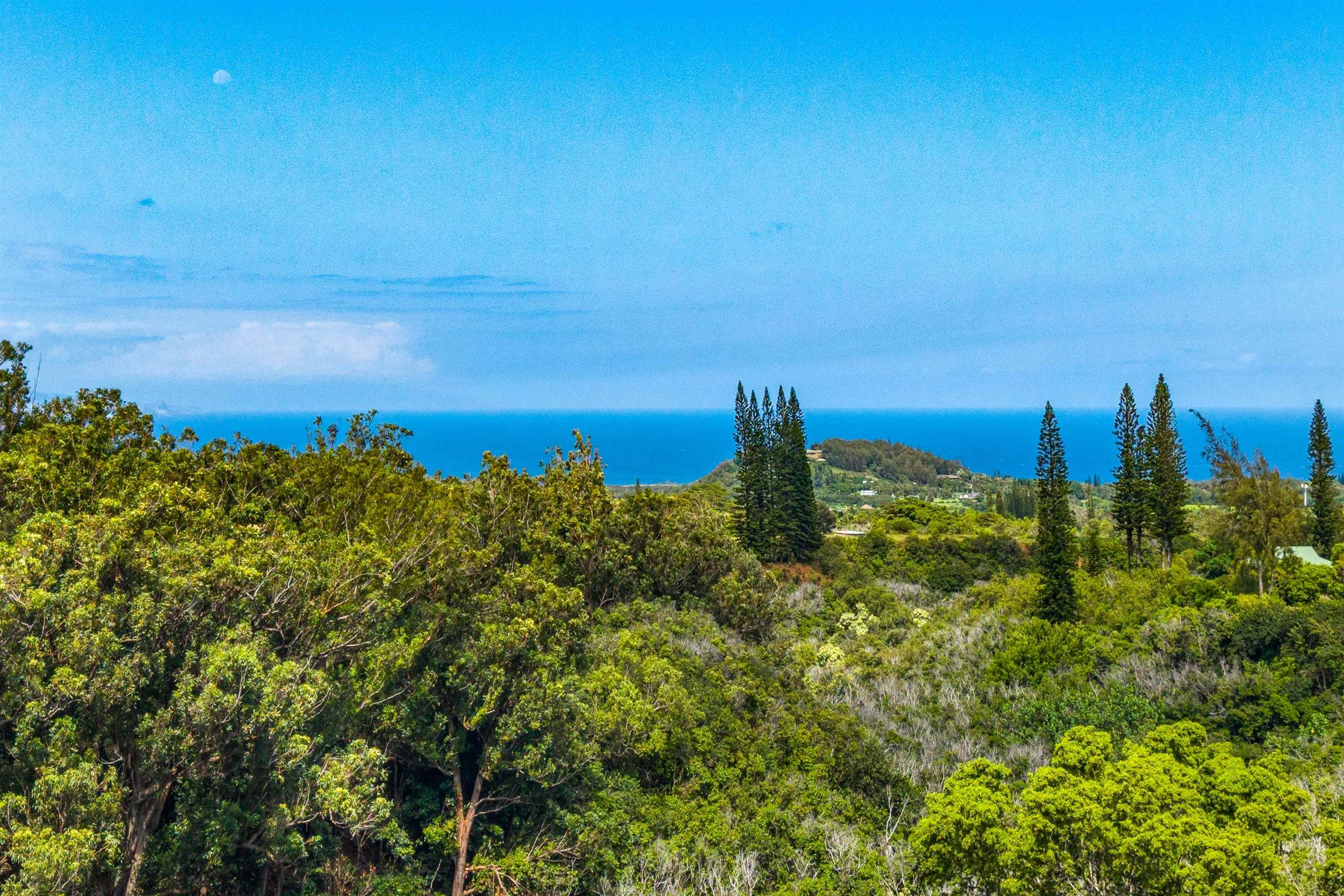 1330  Kauhikoa Rd Kuiaha-pawela Homestead, Haiku home - photo 42 of 47
