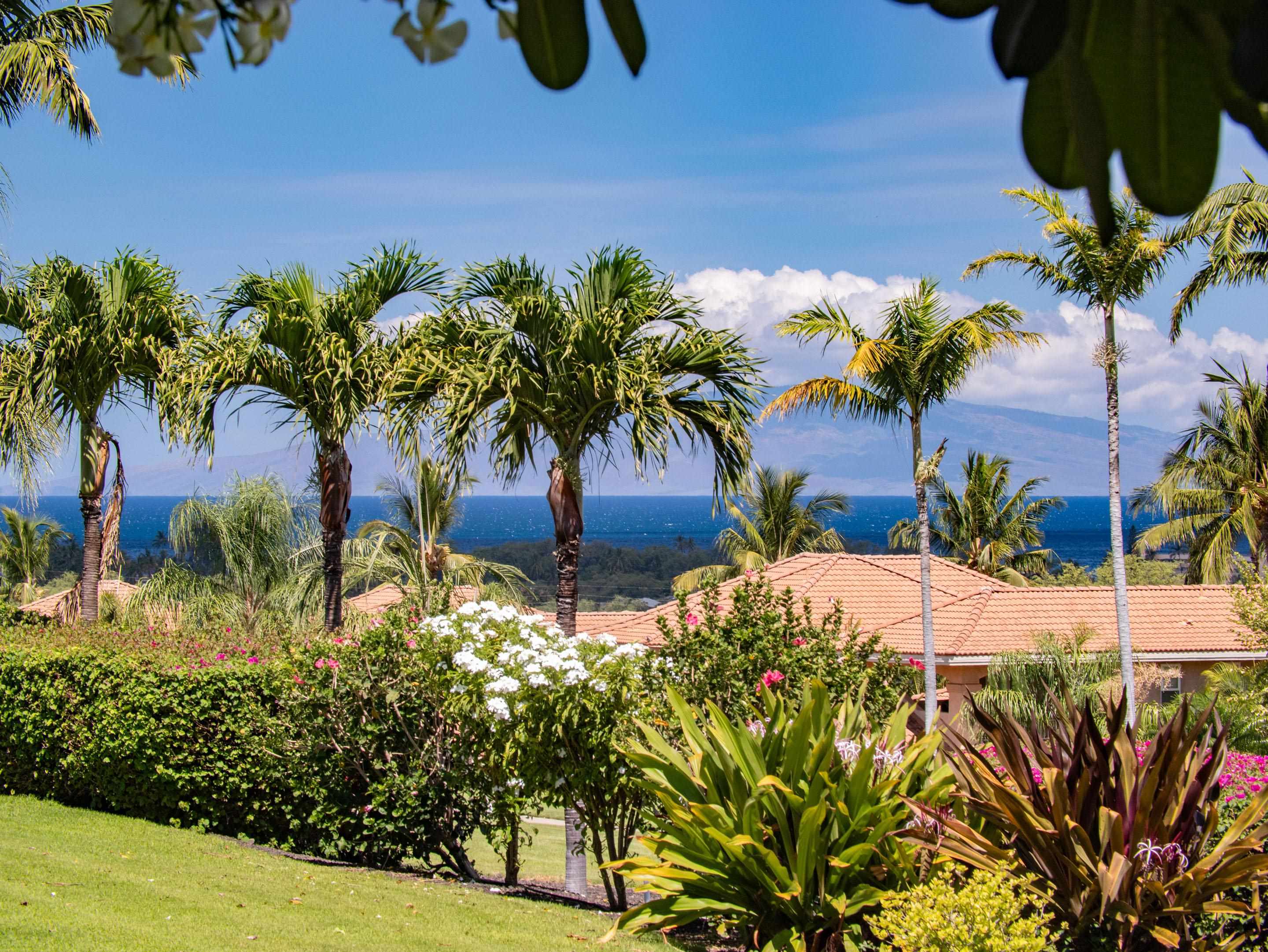 Hokulani Golf Villas condo # 137, Kihei, Hawaii - photo 38 of 48