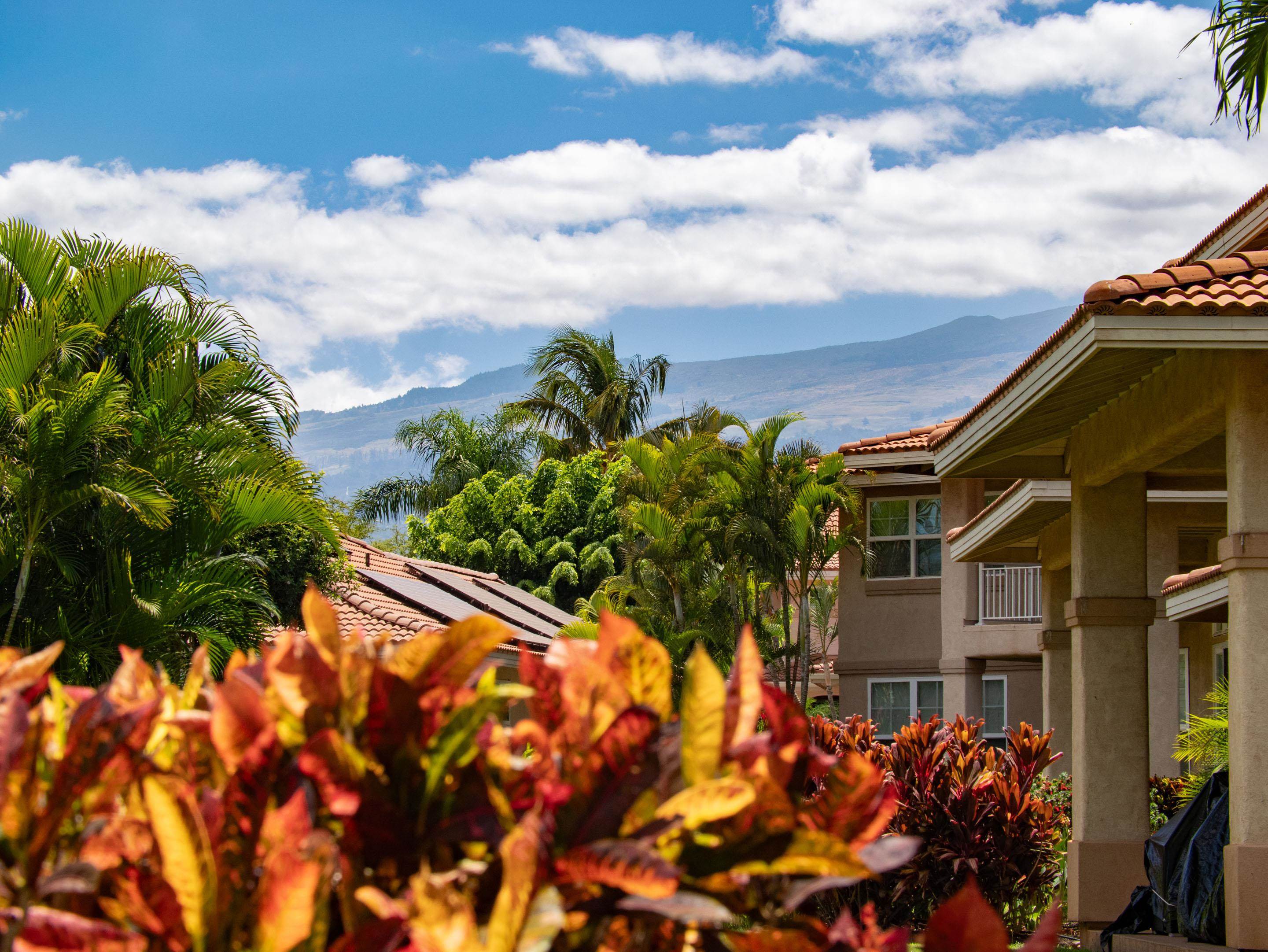 Hokulani Golf Villas condo # 137, Kihei, Hawaii - photo 5 of 48