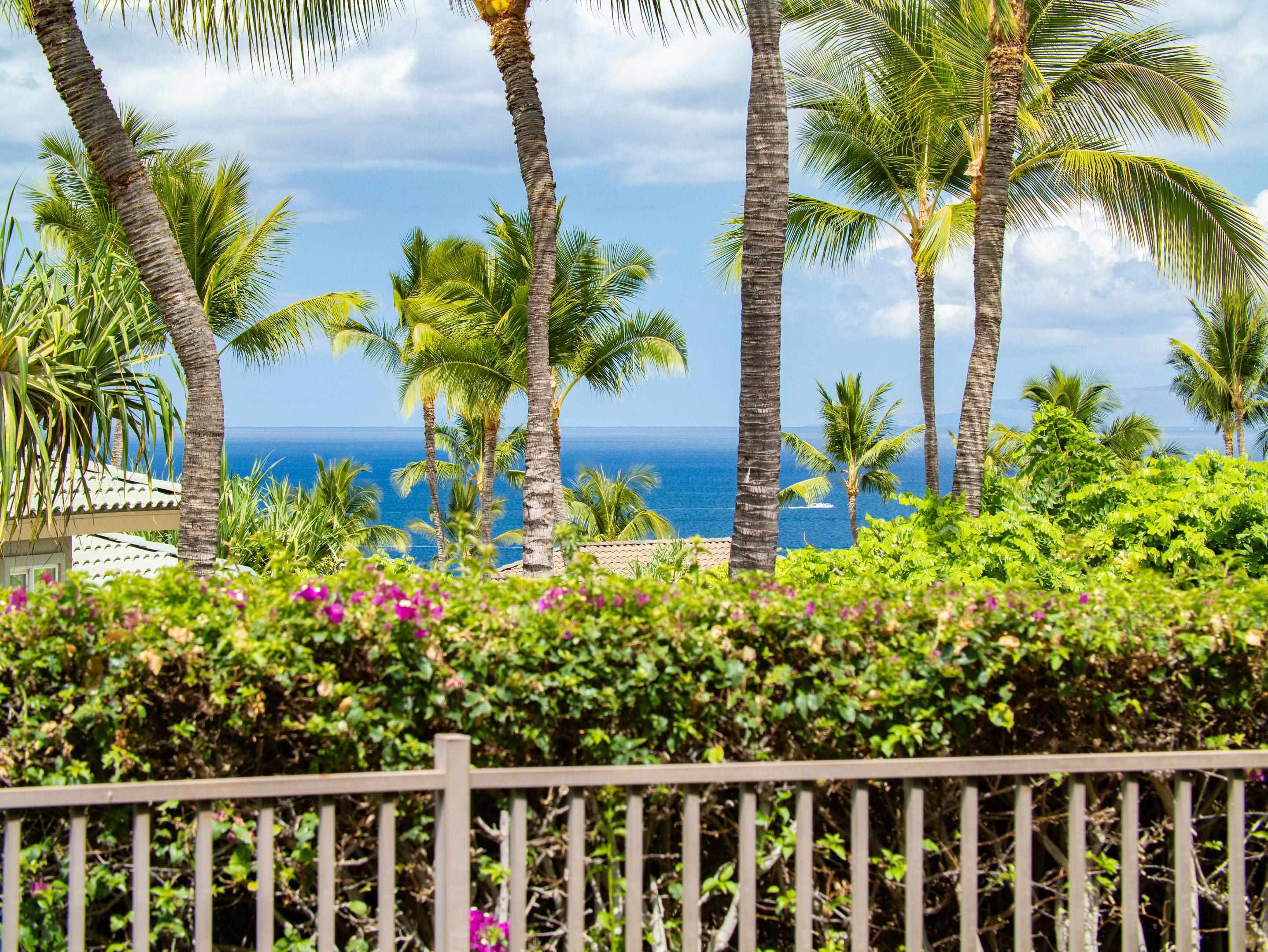 Kai Malu condo # 66A, Kihei, Hawaii - photo 12 of 48