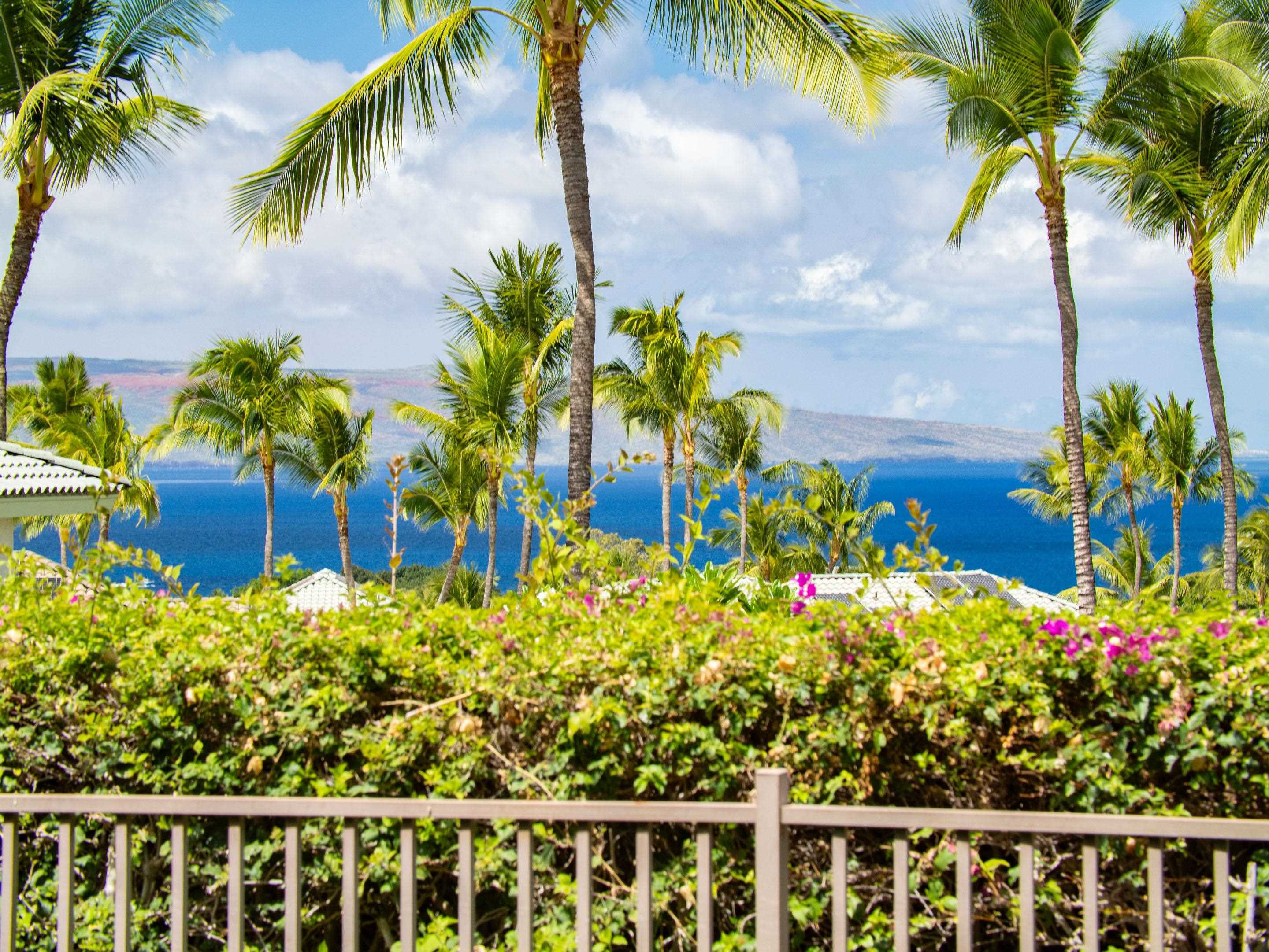 Kai Malu condo # 66A, Kihei, Hawaii - photo 45 of 48