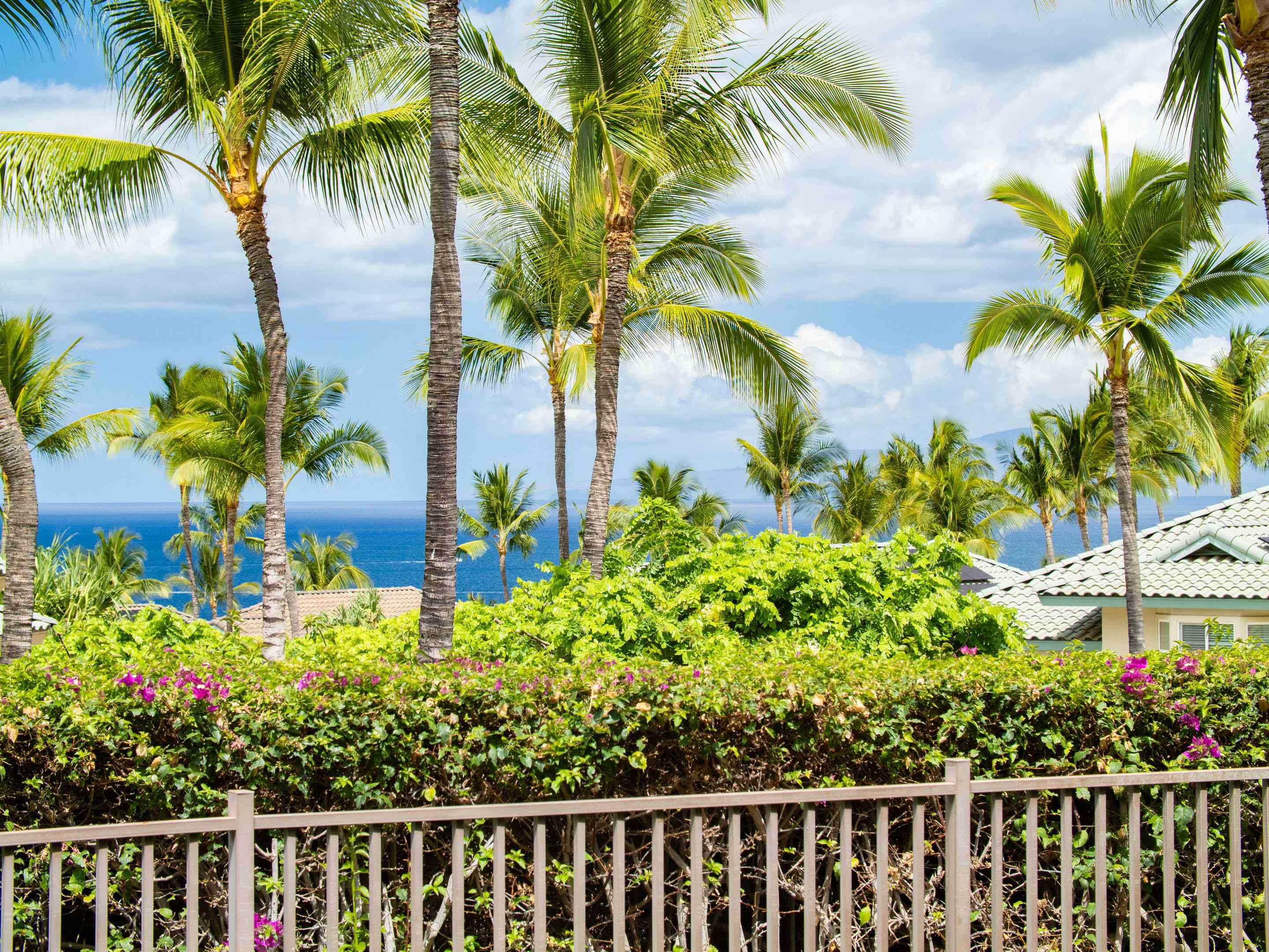 Kai Malu condo # 66A, Kihei, Hawaii - photo 46 of 48