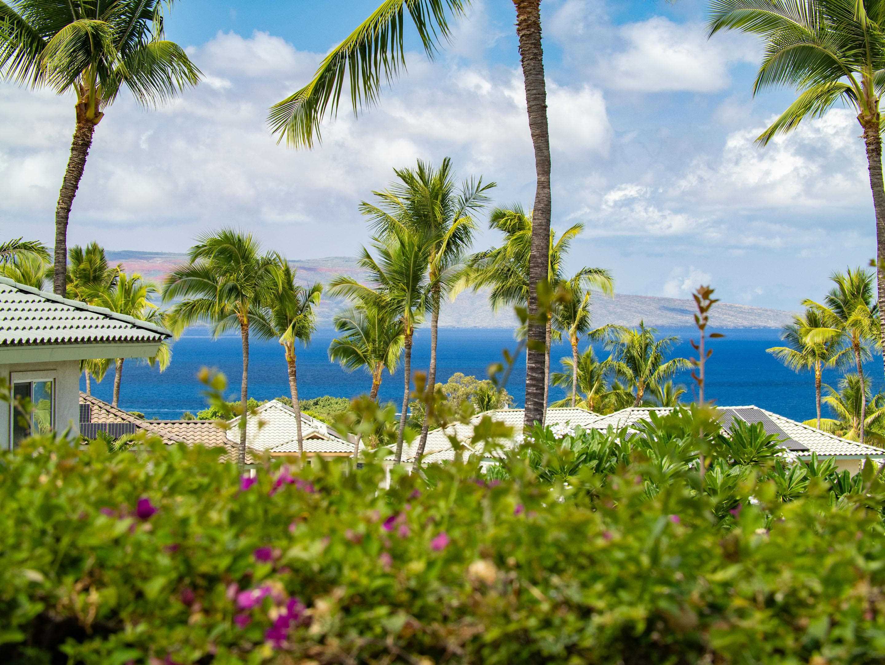 Kai Malu condo # 66A, Kihei, Hawaii - photo 6 of 48