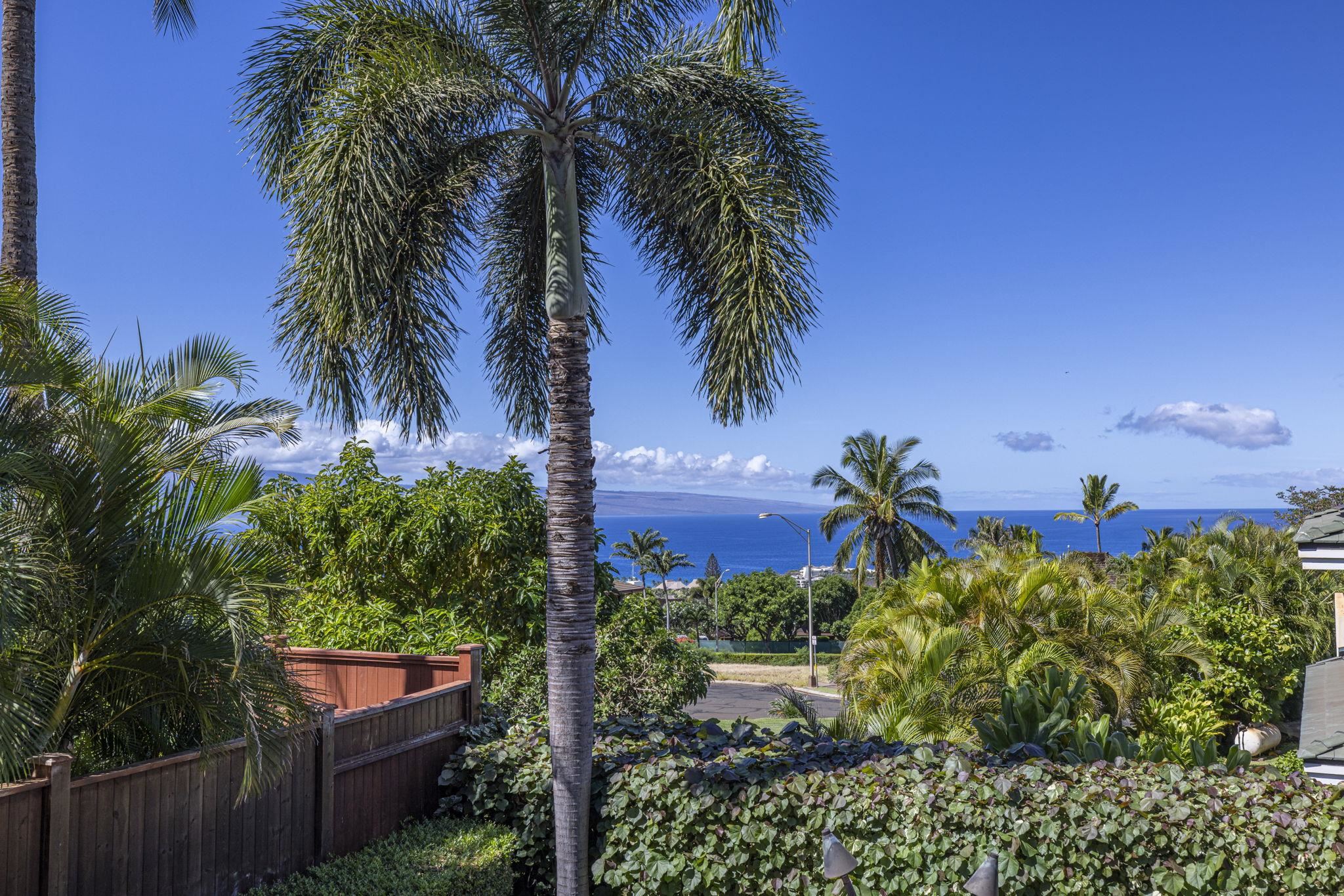 134  Pihaa St Kaanapali, Kaanapali home - photo 6 of 50