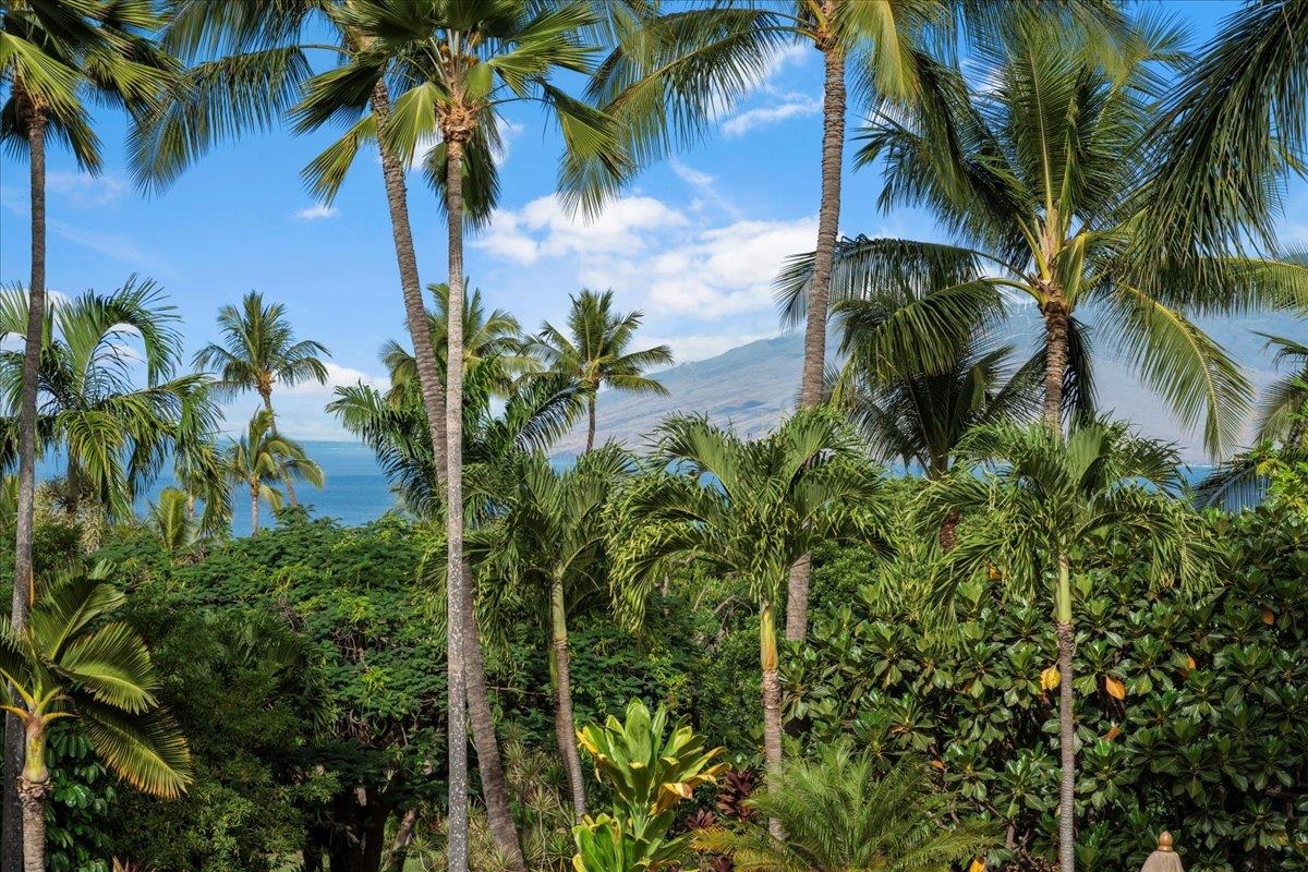 135  Kaimanu Pl , Maui Meadows home - photo 22 of 50