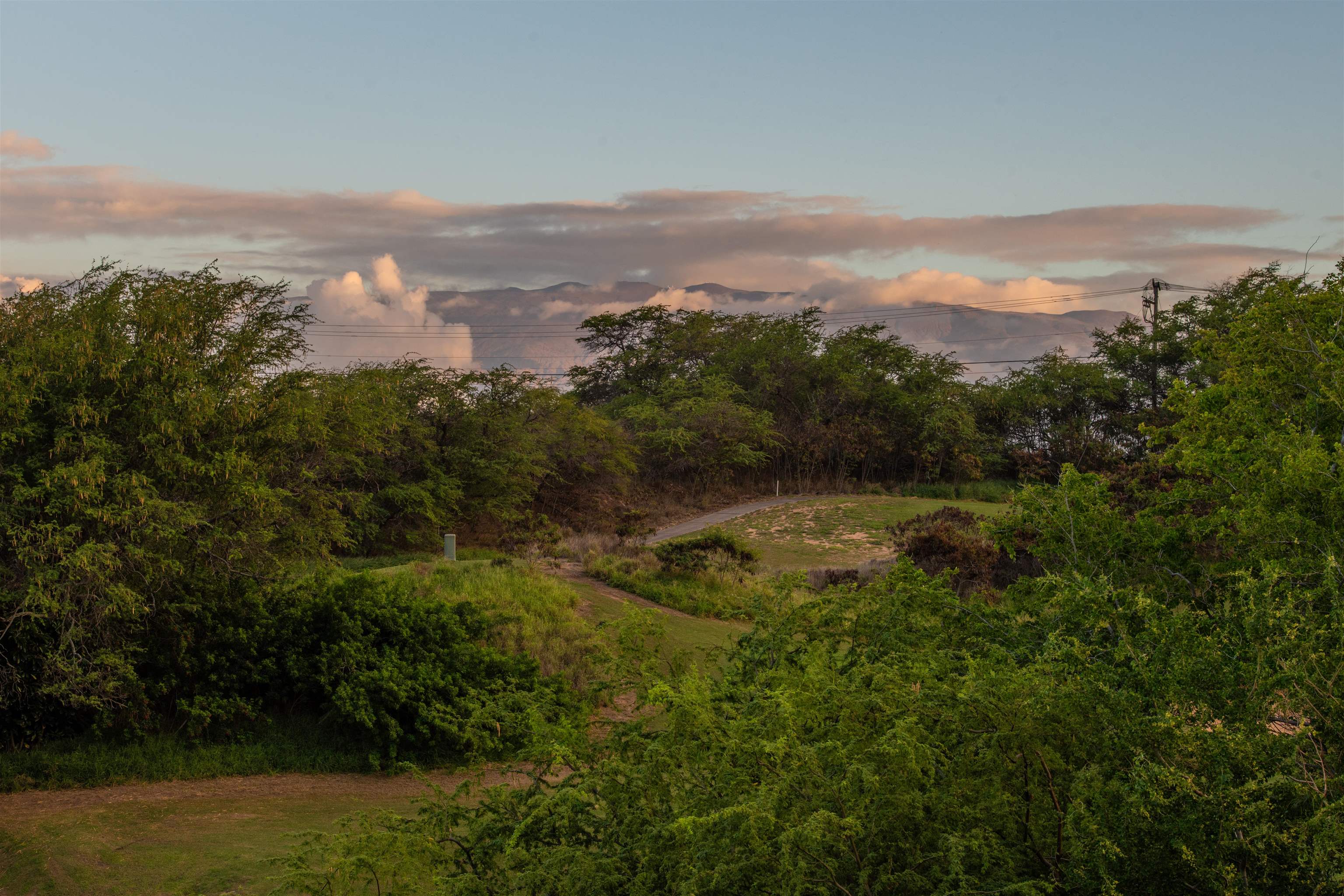 135  Keoneloa St Maui Lani, Wailuku home - photo 25 of 48