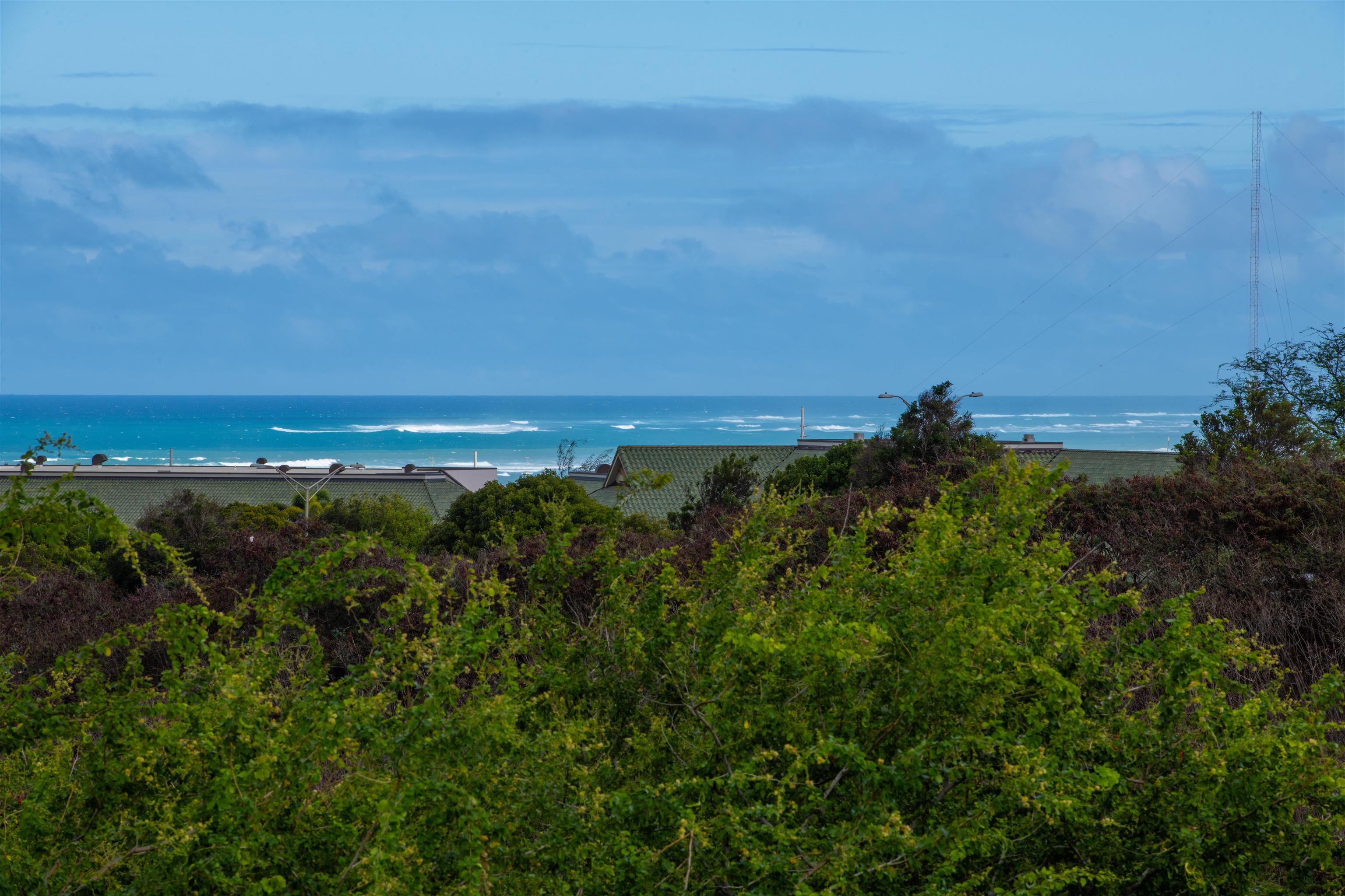 135  Keoneloa St Maui Lani, Wailuku home - photo 7 of 48