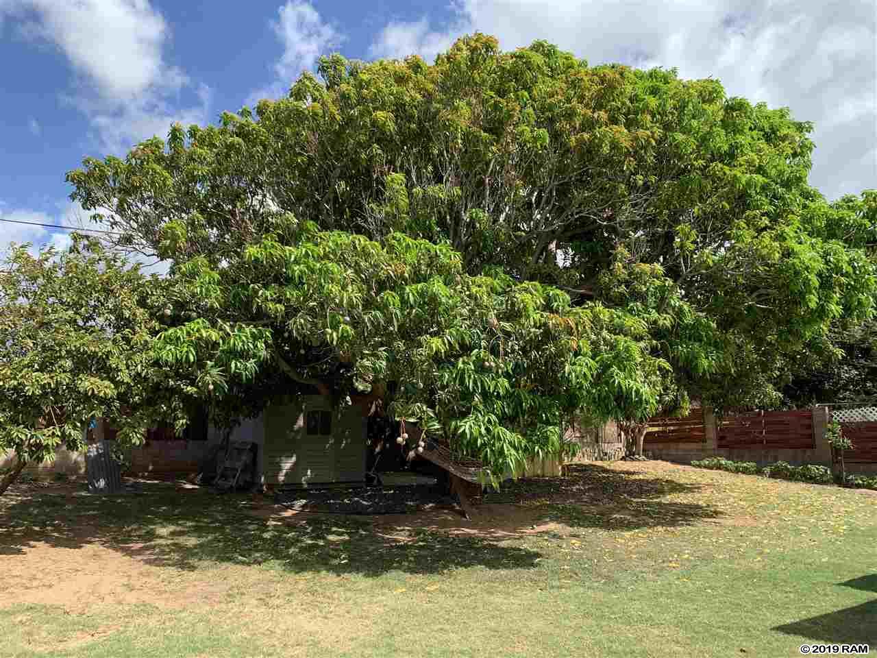 135  Lehua St , Kahului home - photo 2 of 4