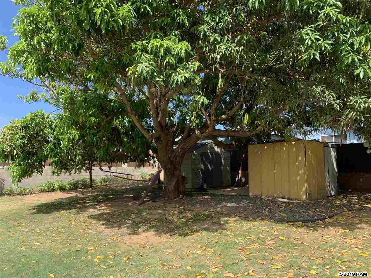 135  Lehua St , Kahului home - photo 3 of 4