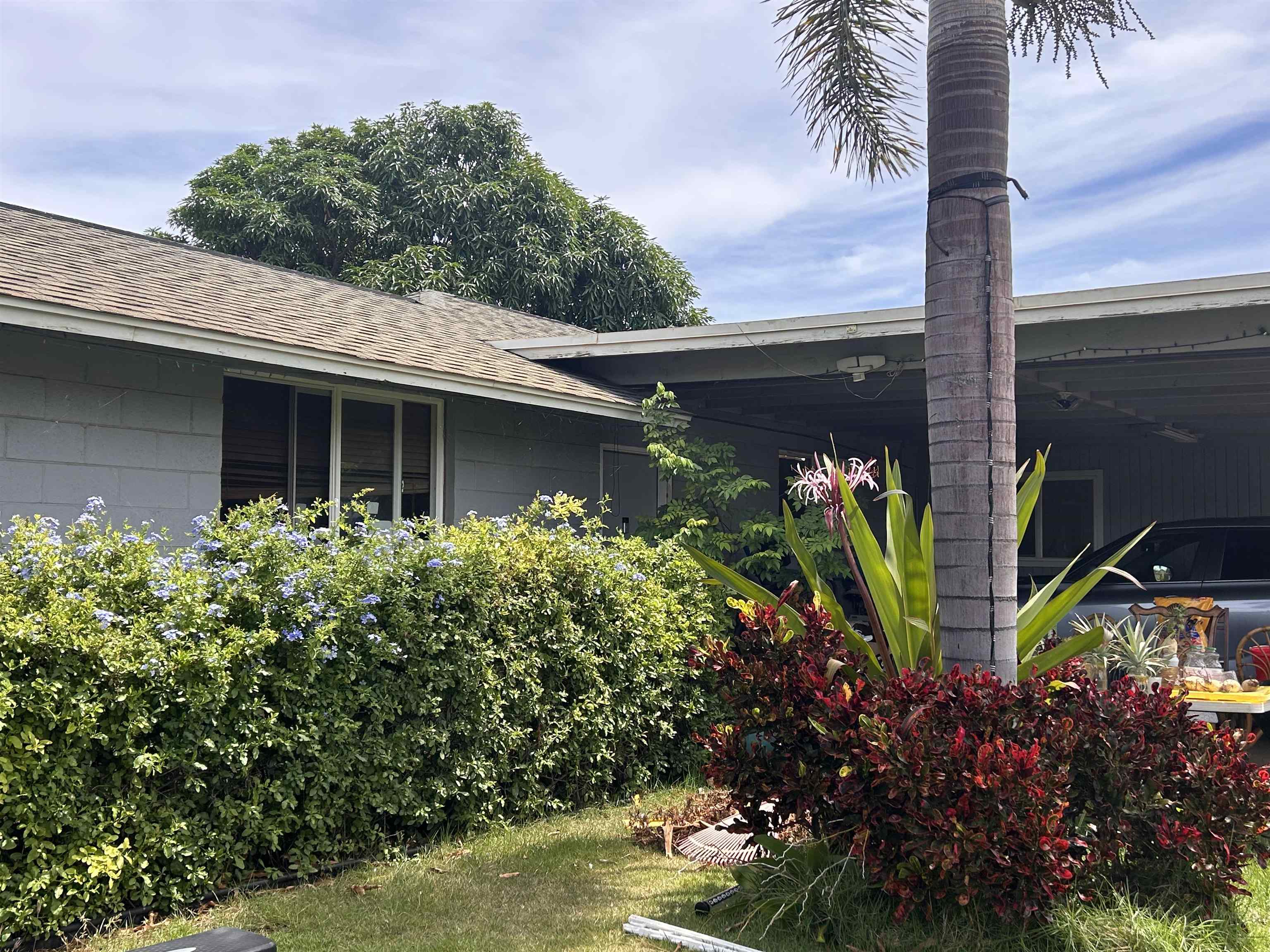 135  Papa Ave , Kahului home - photo 2 of 12