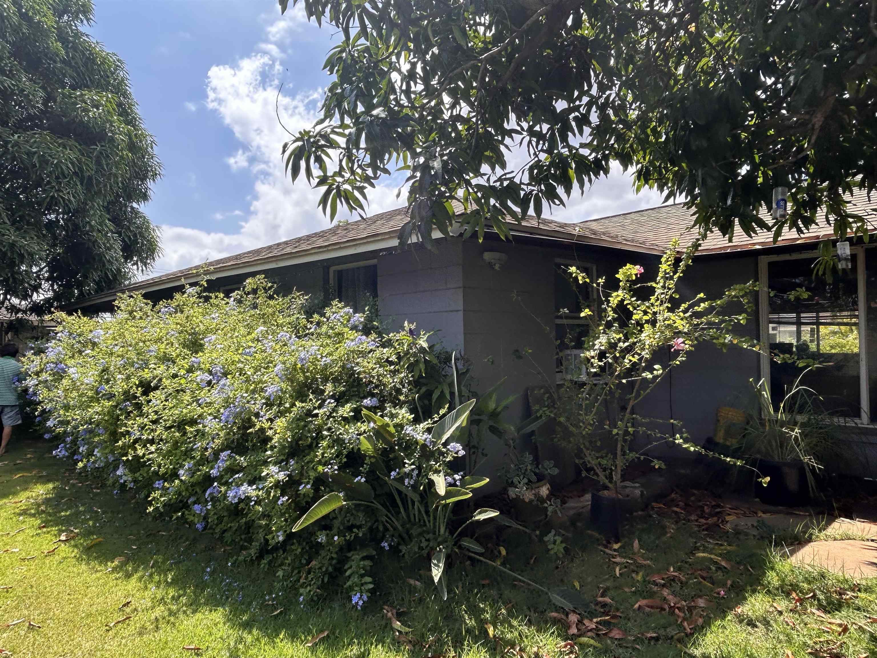135  Papa Ave , Kahului home - photo 6 of 12