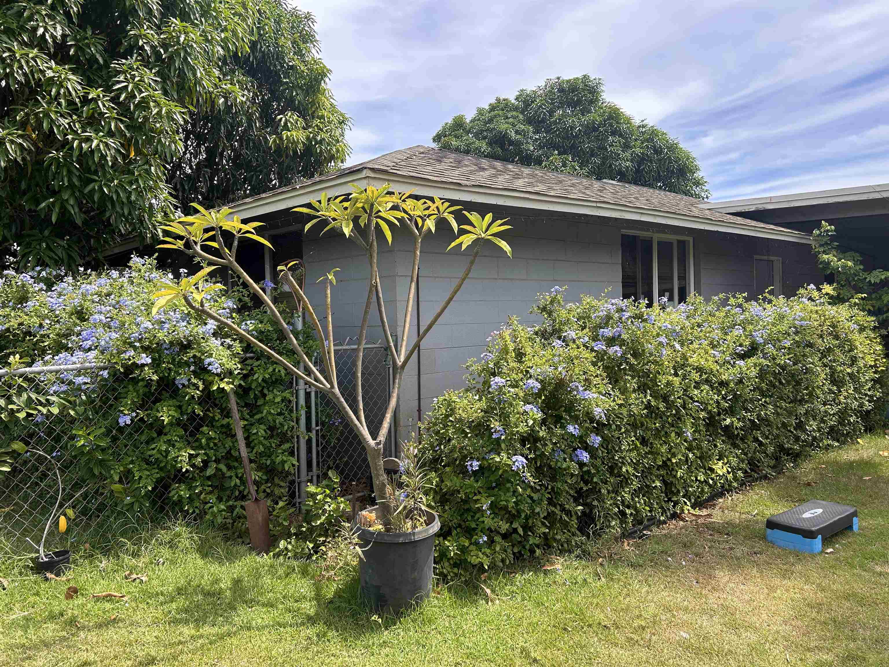 135  Papa Ave , Kahului home - photo 7 of 12