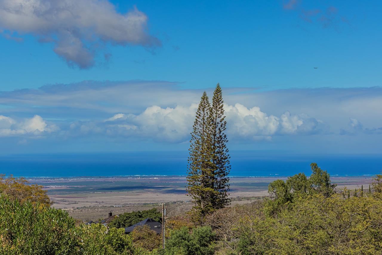 1350  Naalae Rd Lower Kula, Kula/Ulupalakua/Kanaio home - photo 4 of 50