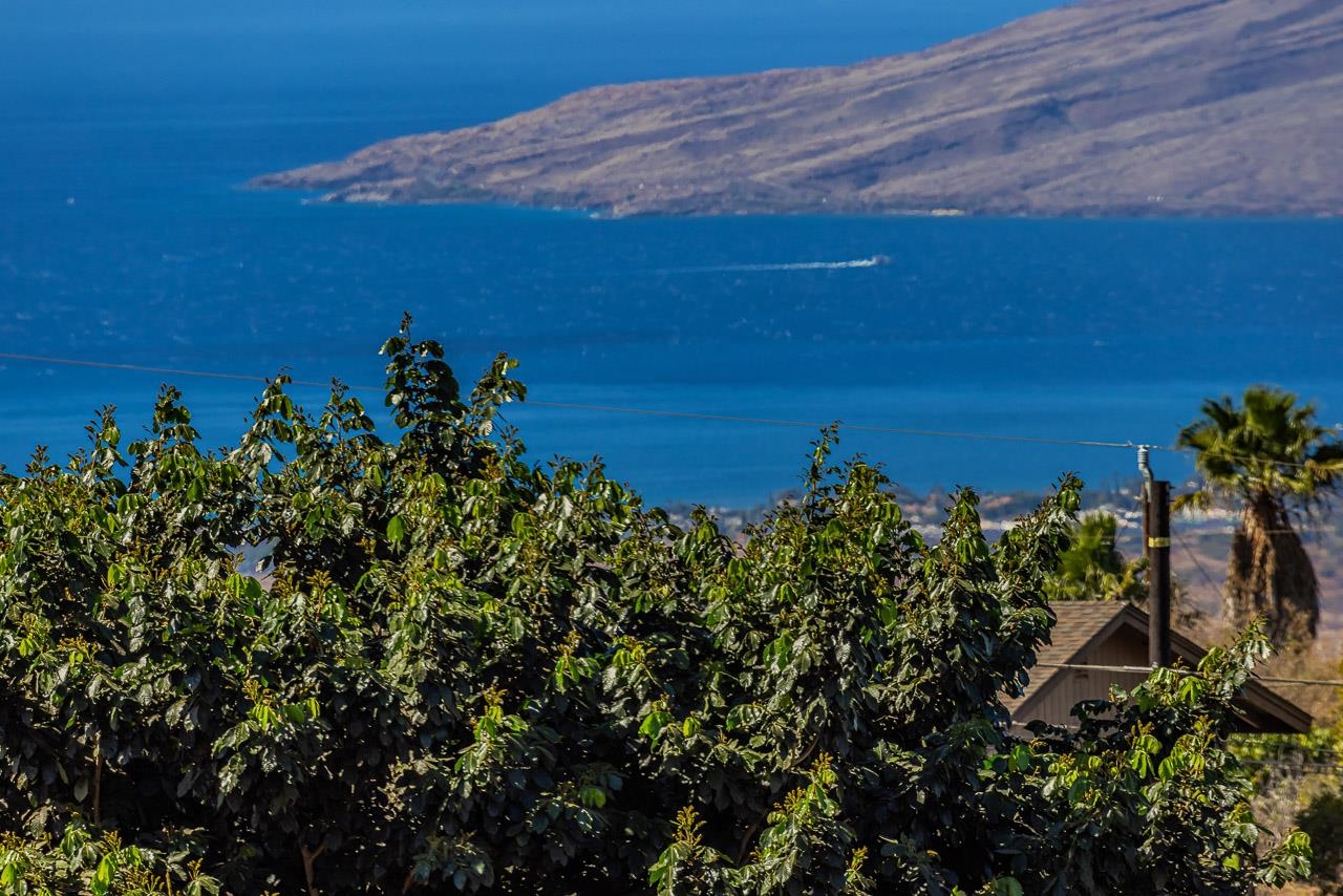 1350  Naalae Rd Lower Kula, Kula/Ulupalakua/Kanaio home - photo 41 of 50