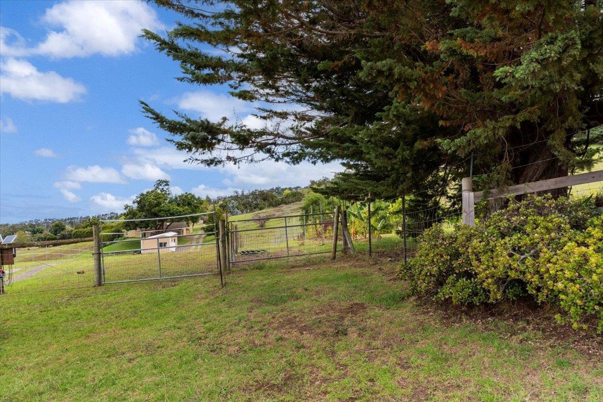 1351 Pulehuiki Rd #2 Kula, Hi vacant land for sale - photo 25 of 27