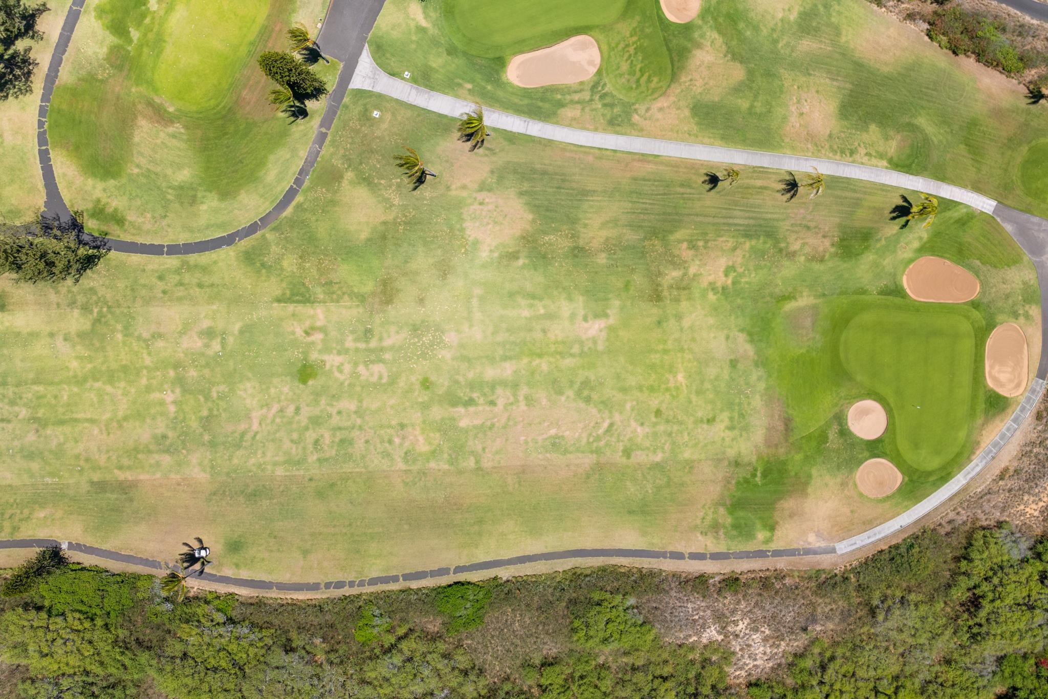 1353  Kakae Pl , Wailuku home - photo 48 of 50